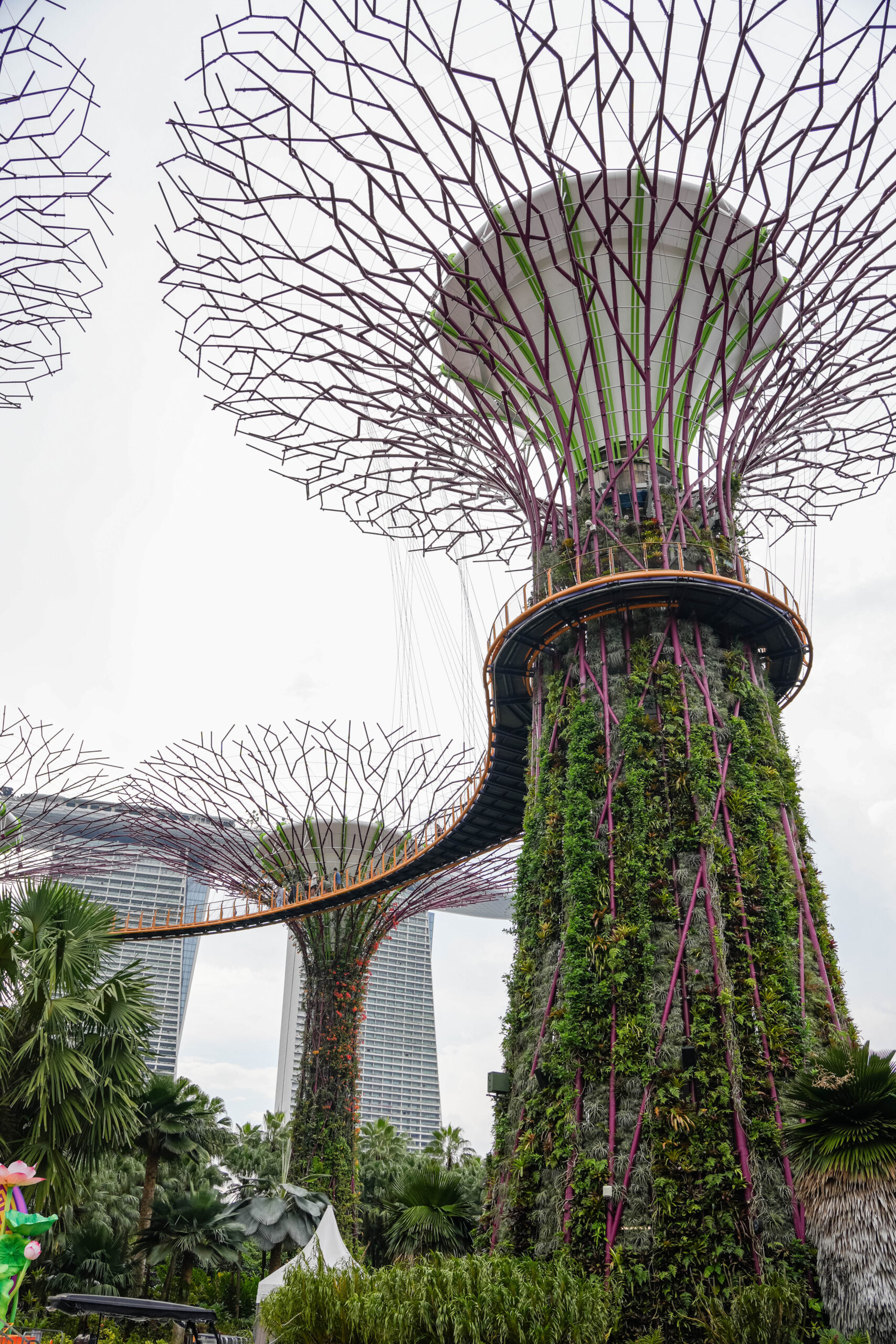 20251013_Singapore06628