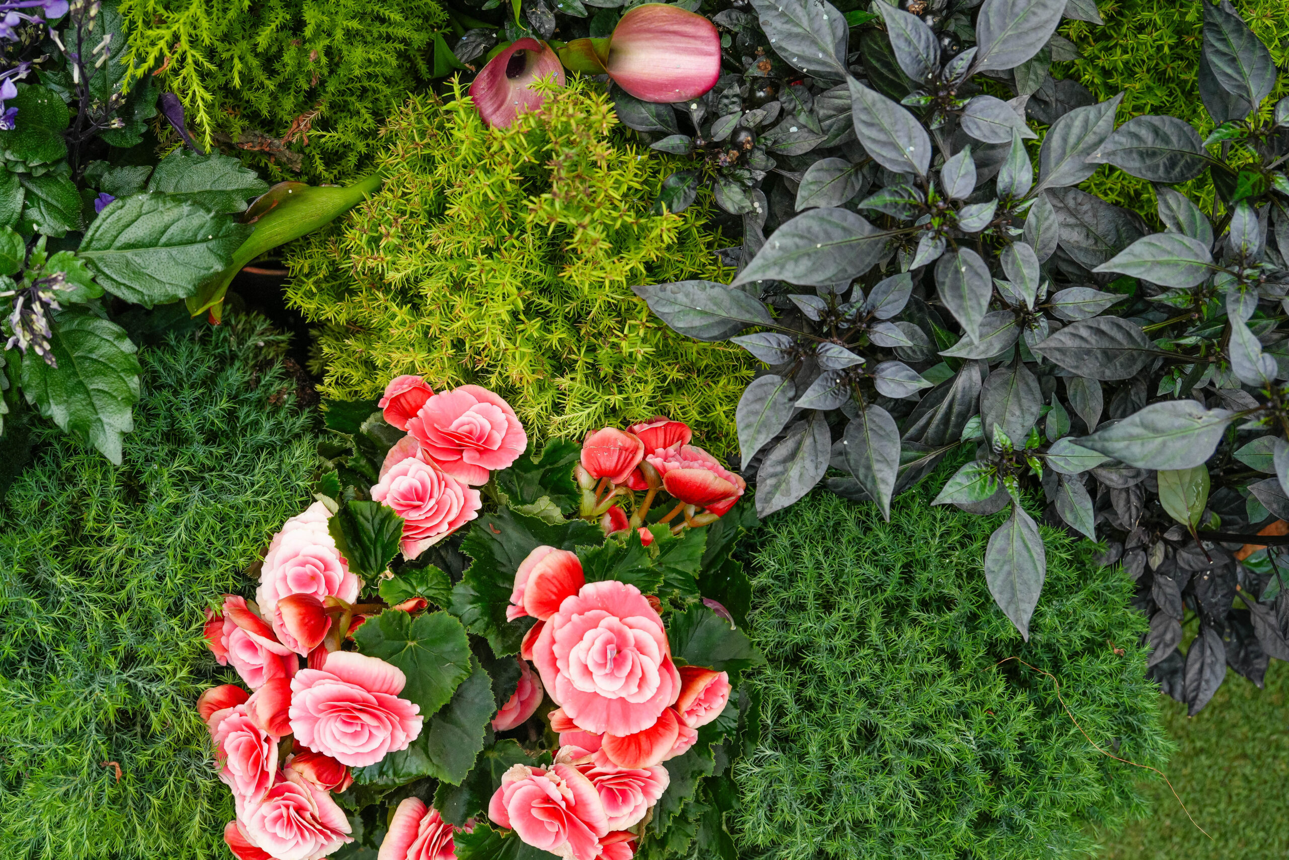 20251013_Singapore06646