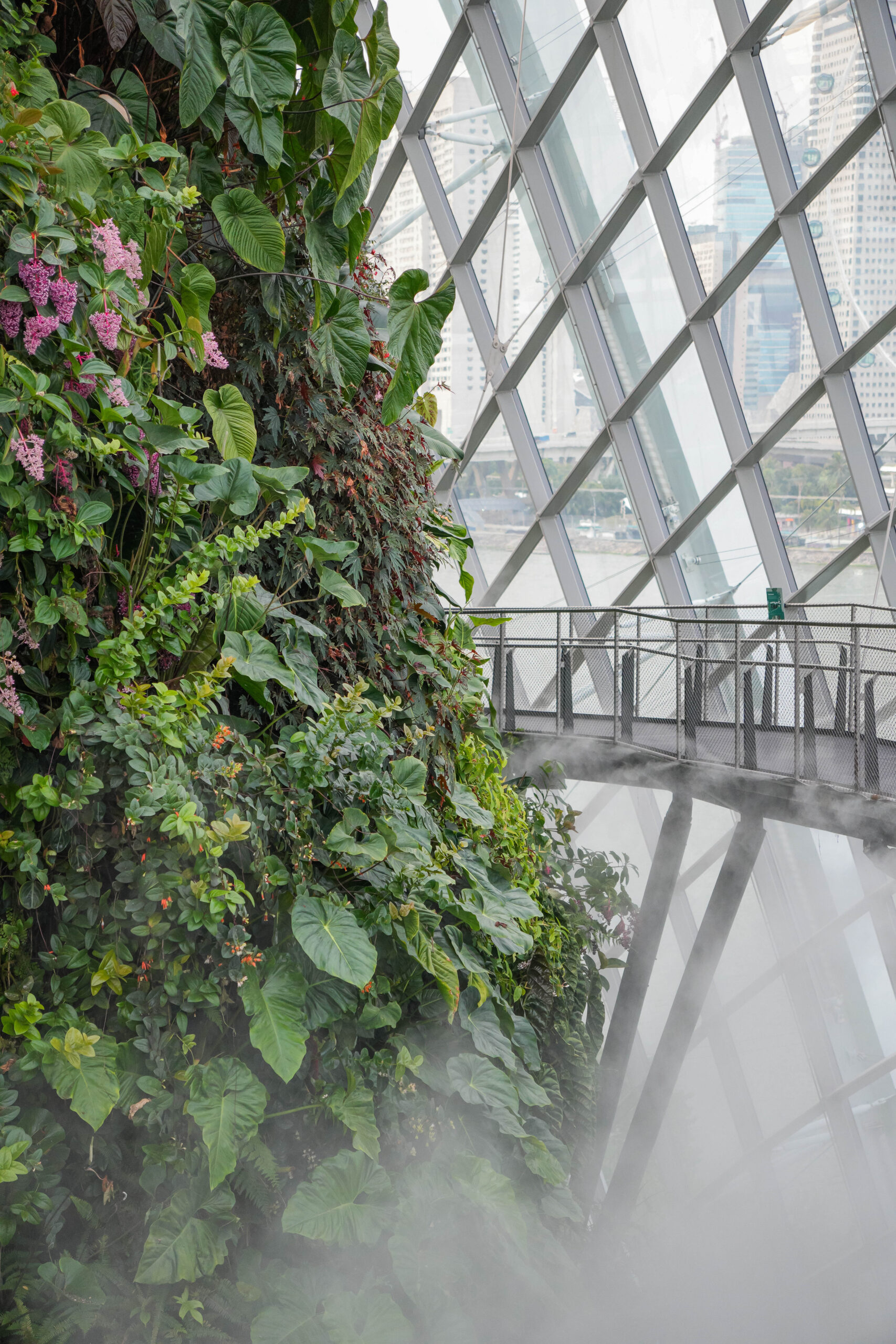 20251015_Singapore06751