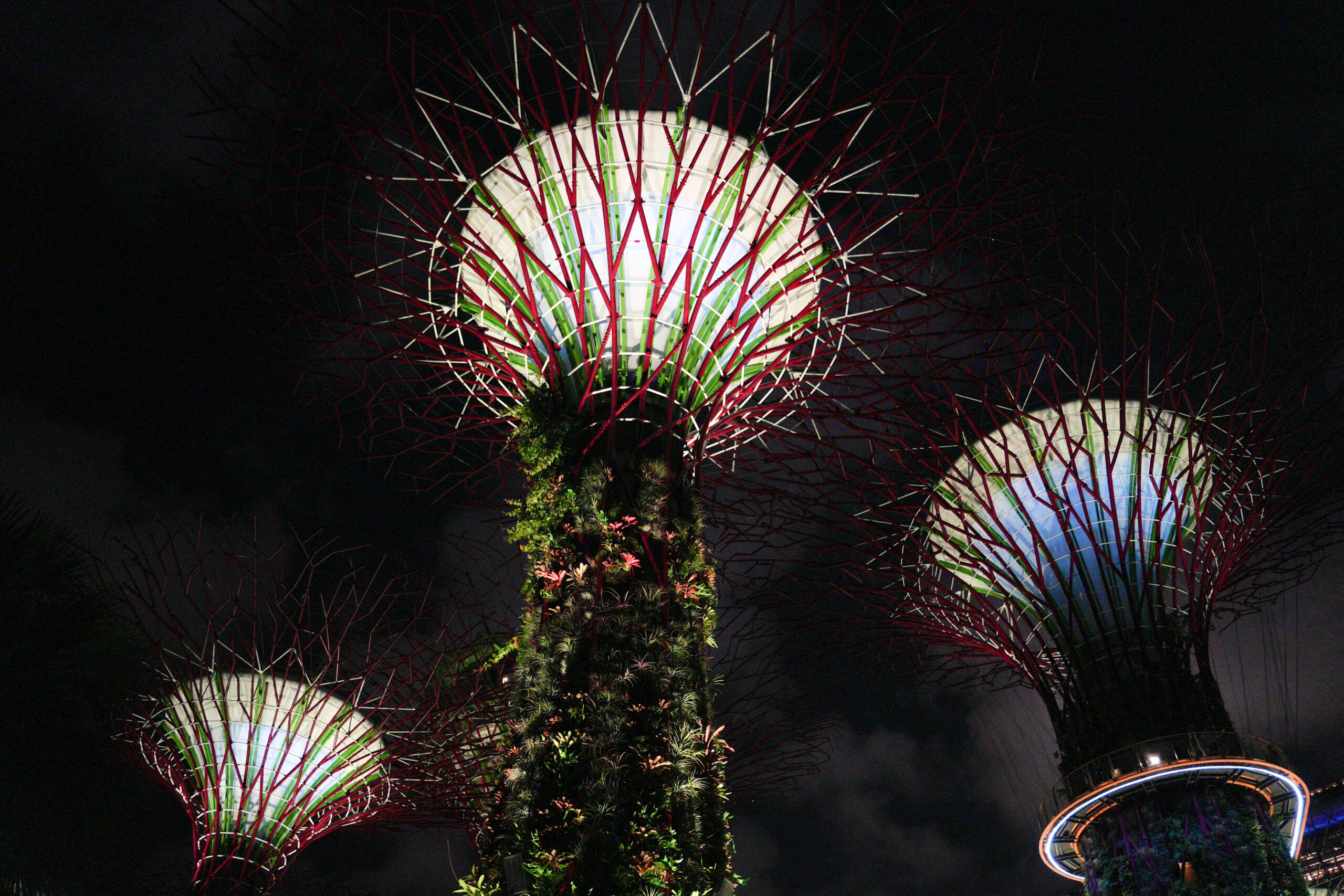 20251015_Singapore06767