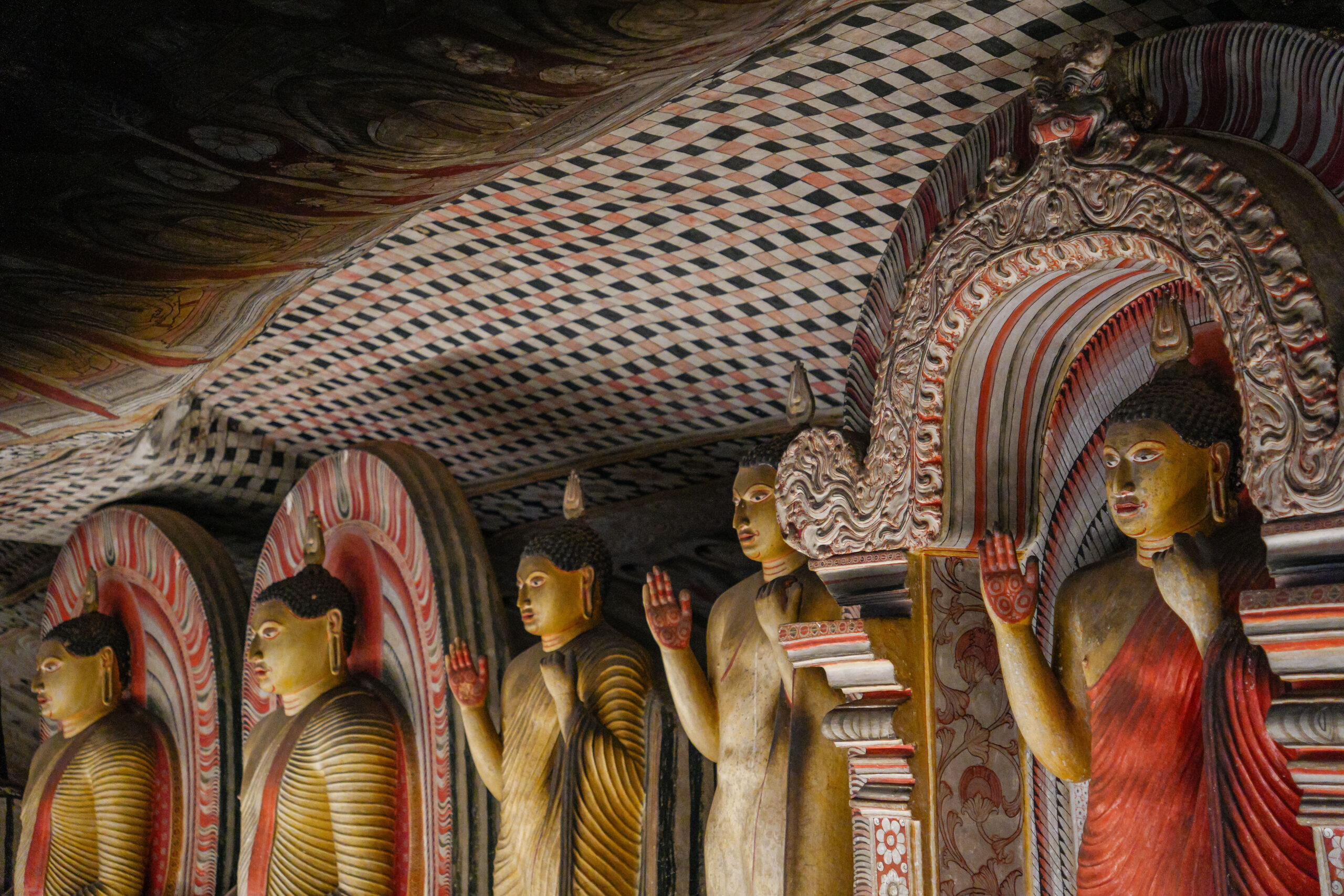 20251109_SriLanka07274