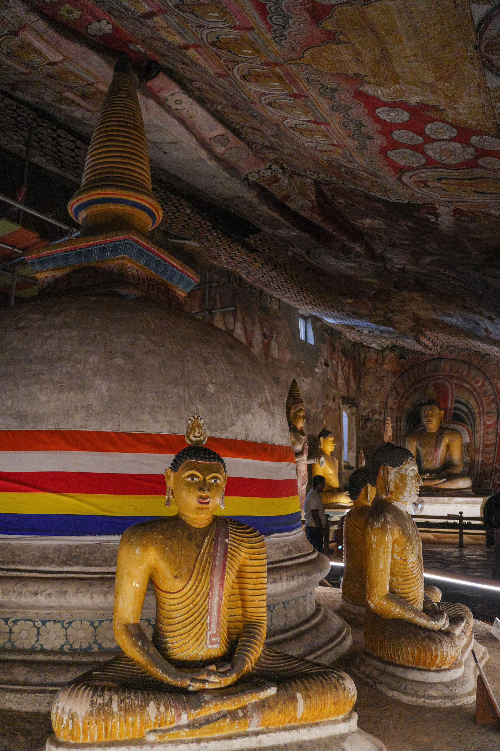 20251109_SriLanka07289