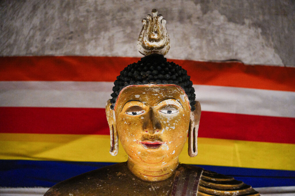 20251109_SriLanka07291