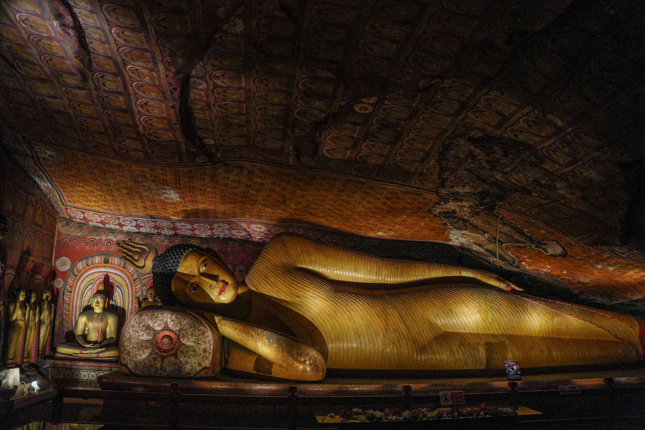 20251109_SriLanka07296