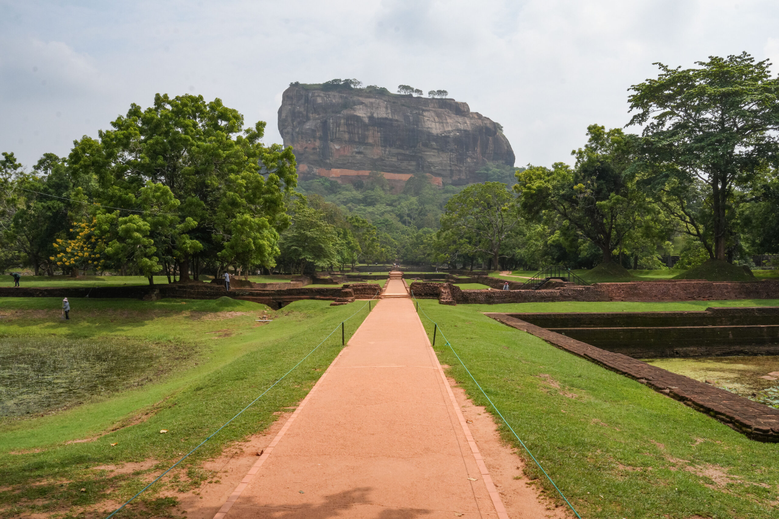 20251110_SriLanka07443