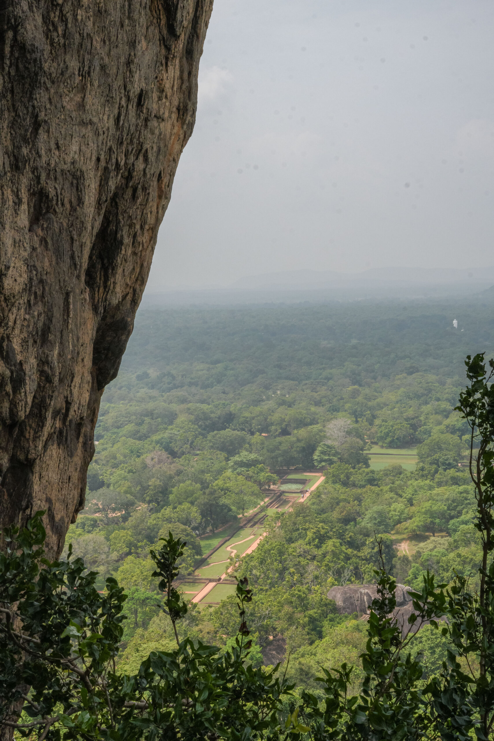 20251110_SriLanka07456