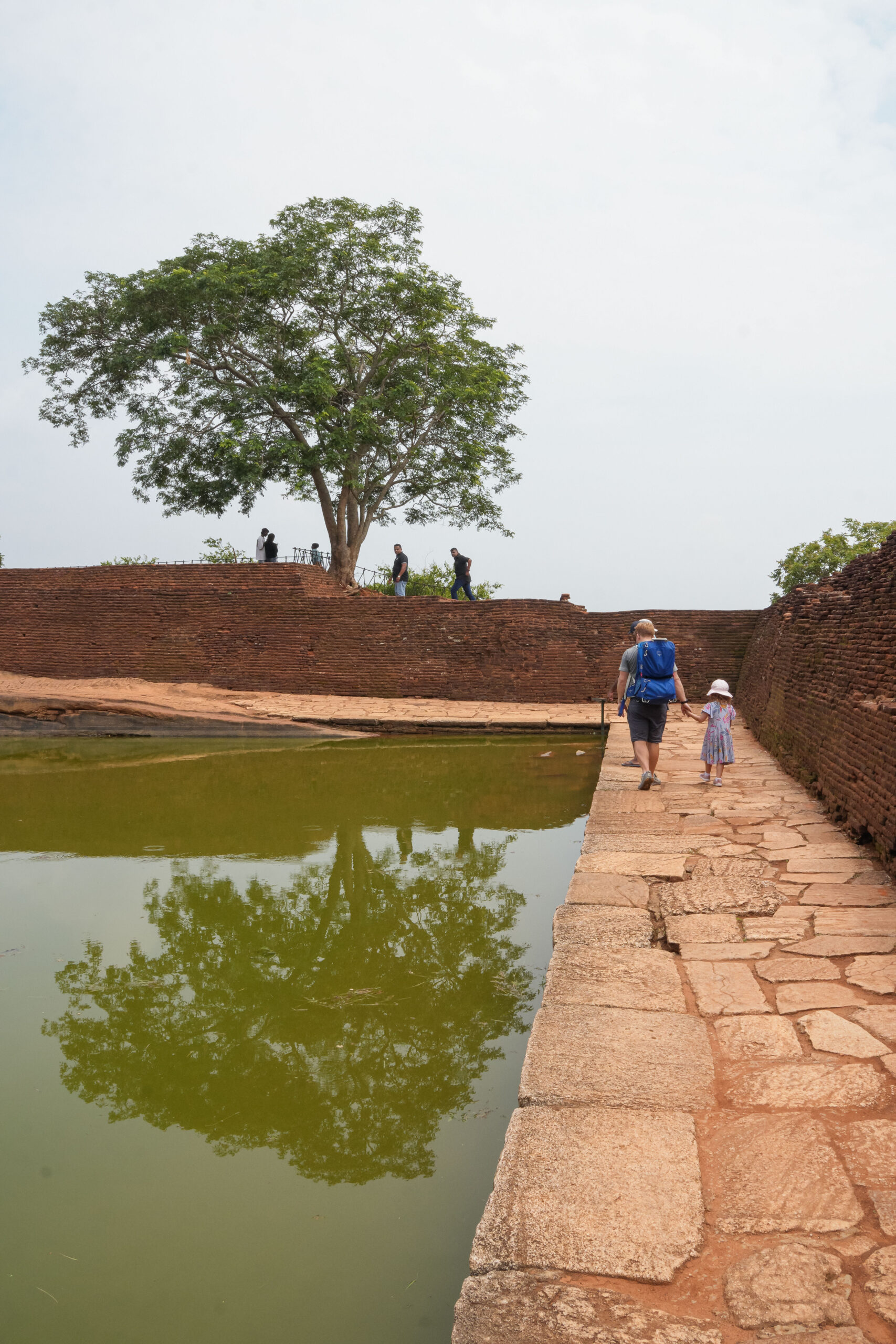 20251110_SriLanka07474