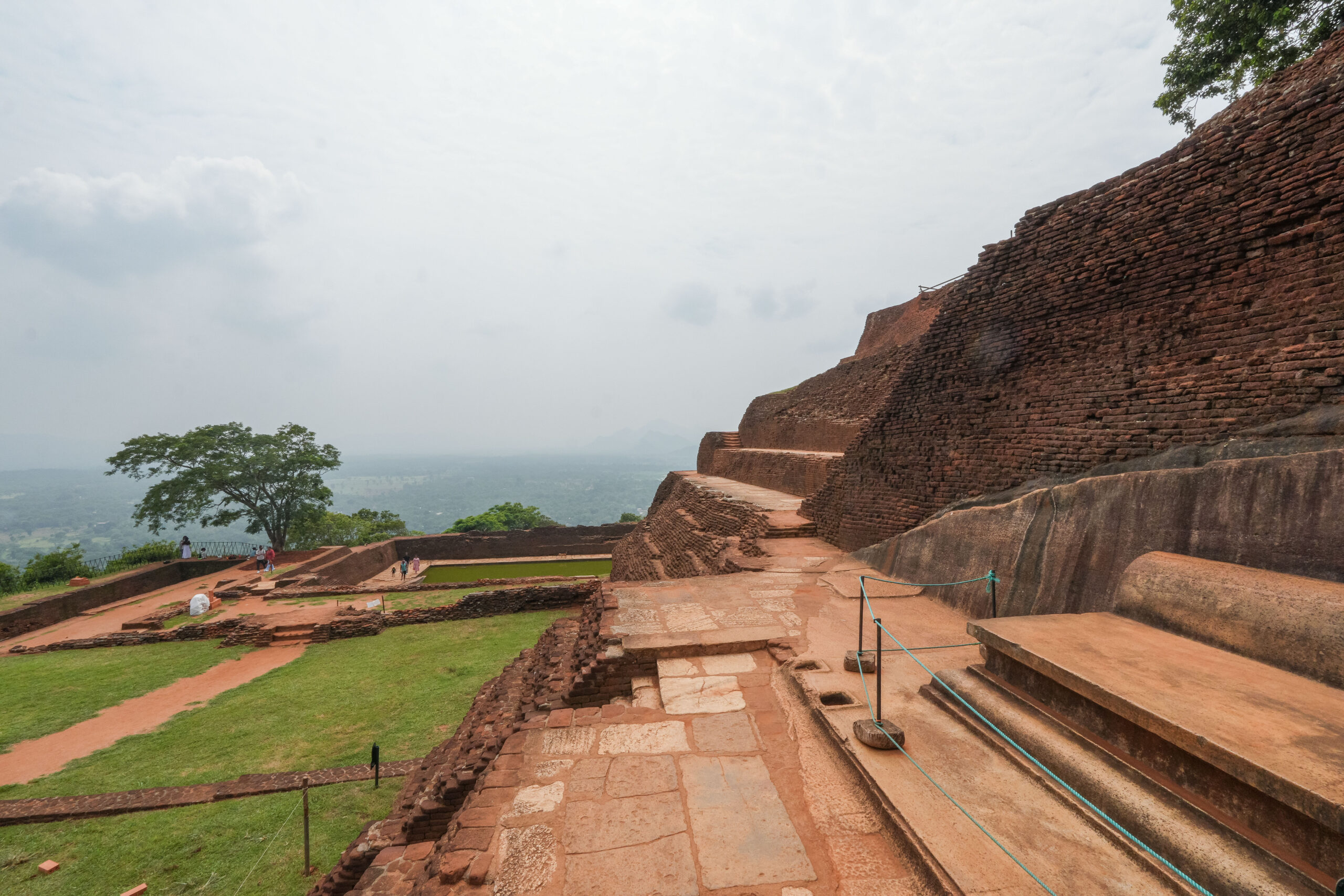 20251110_SriLanka07493