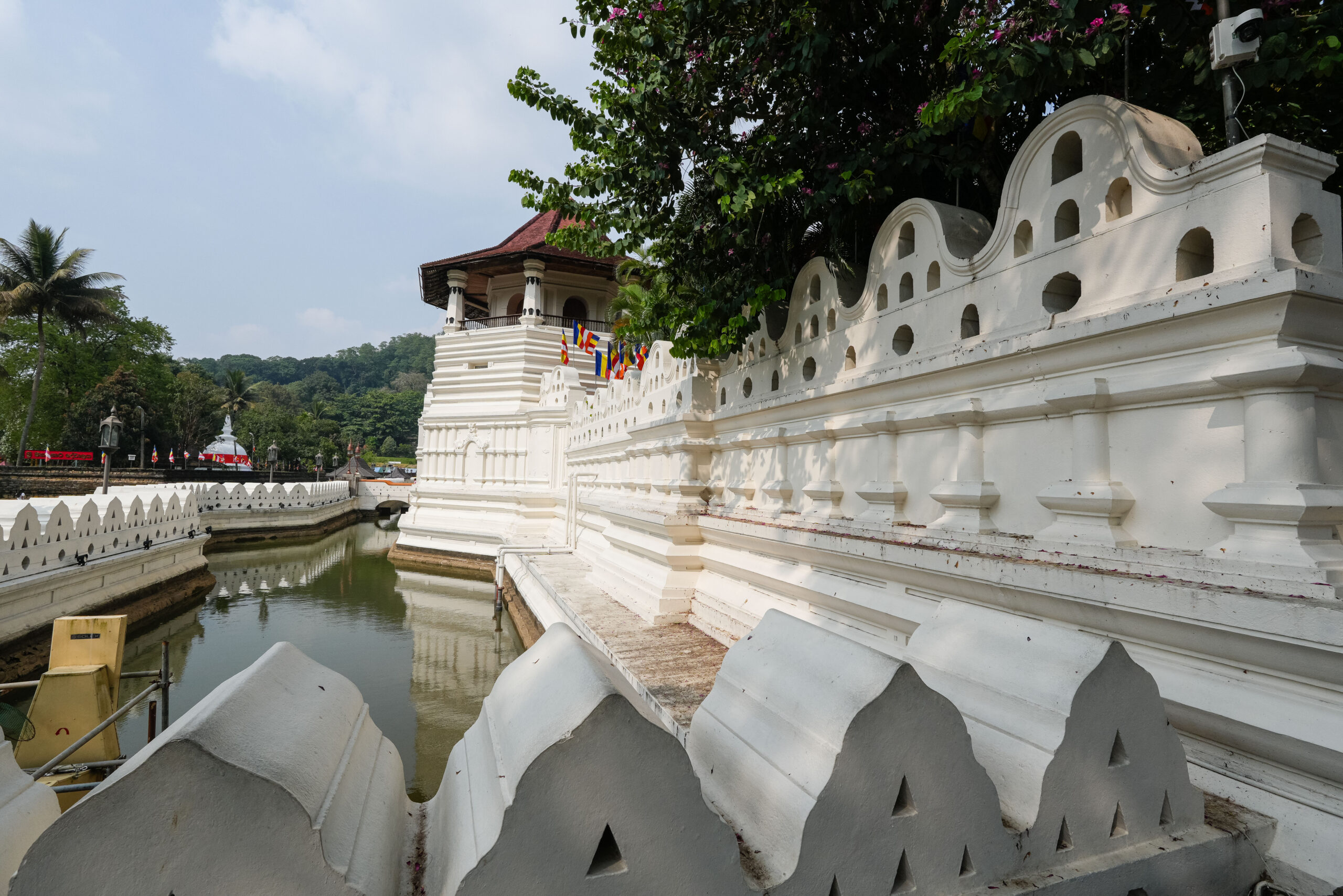 20251111_SriLanka07510