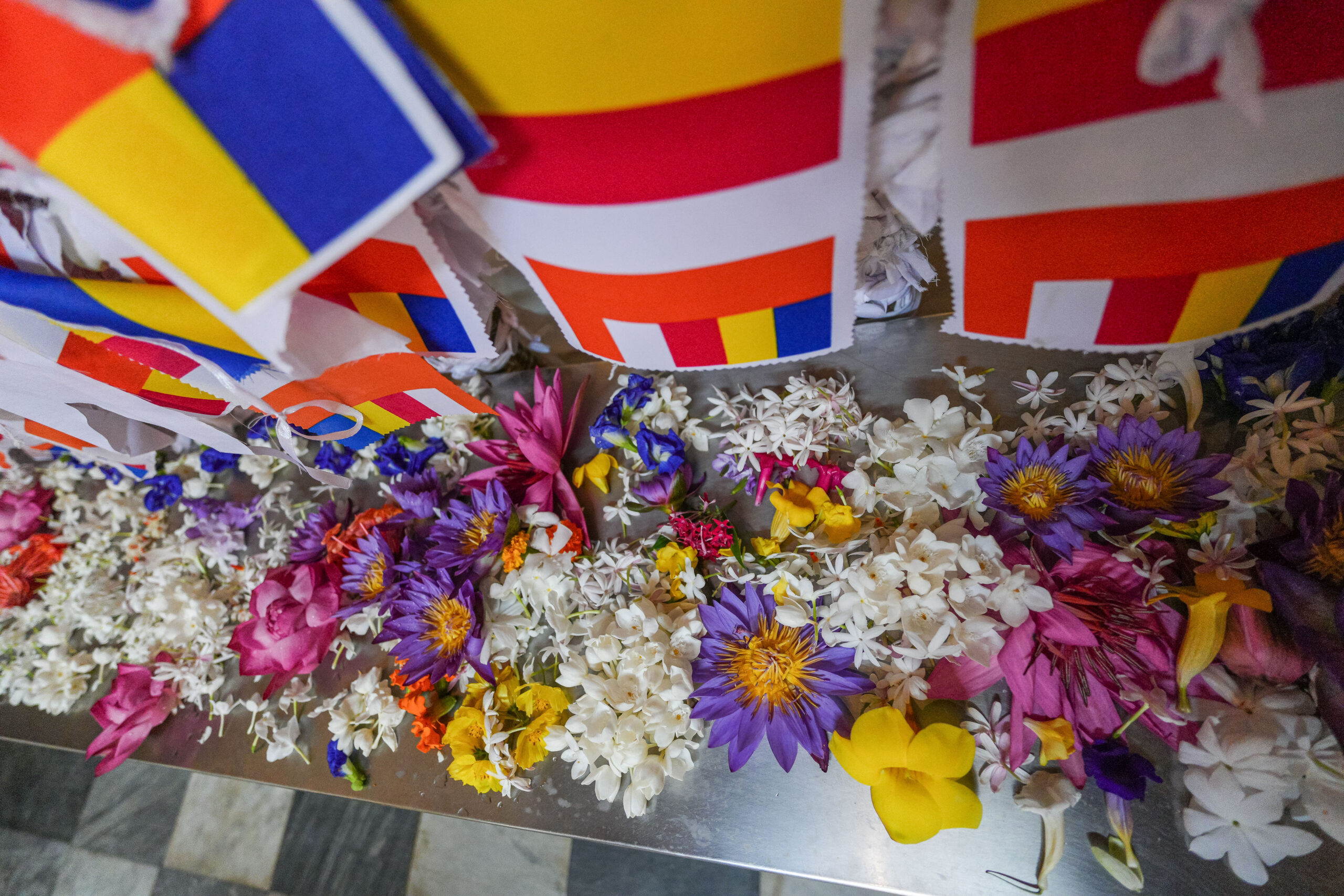 20251111_SriLanka07536