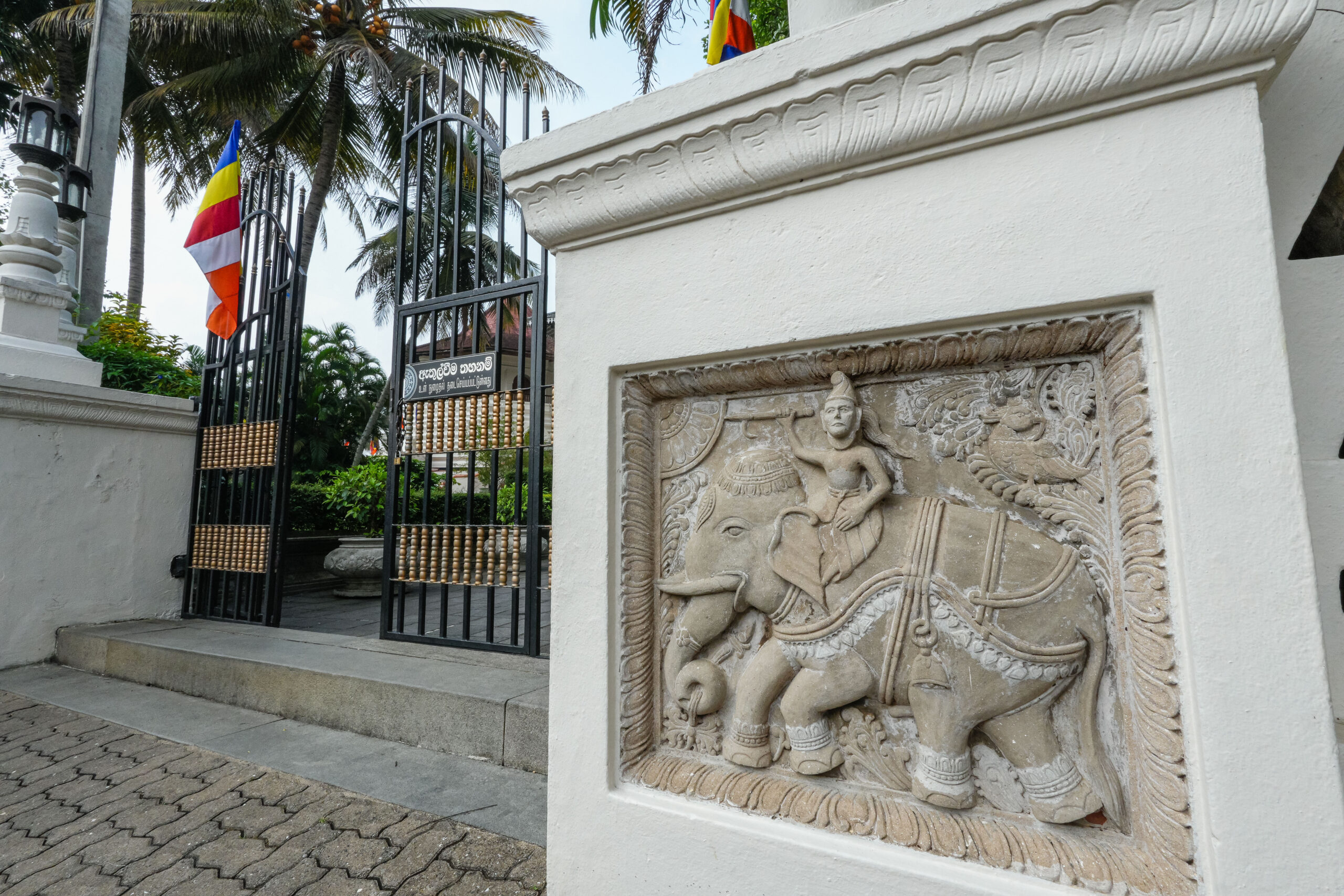 20251111_SriLanka07543