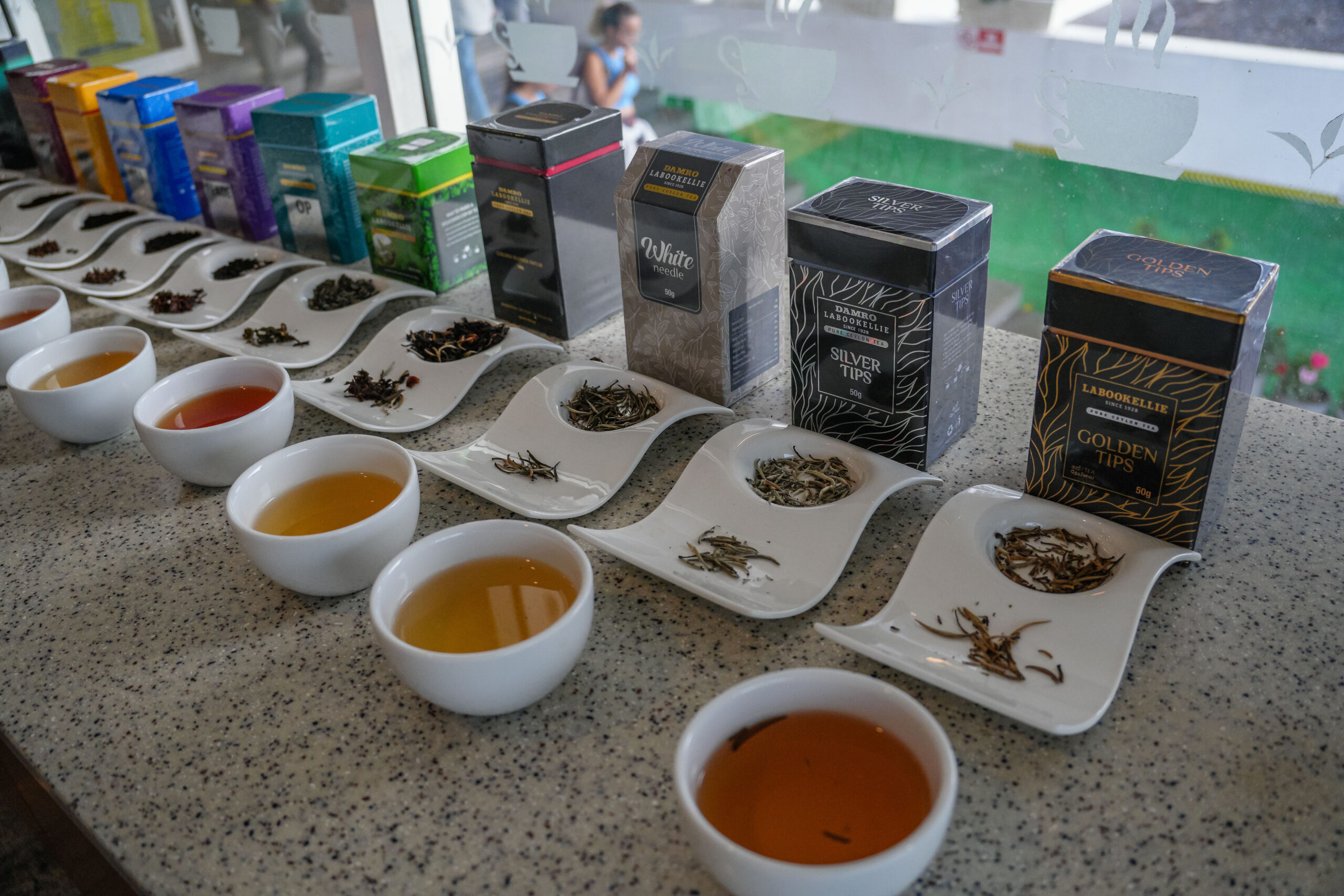 20251112_SriLanka07584