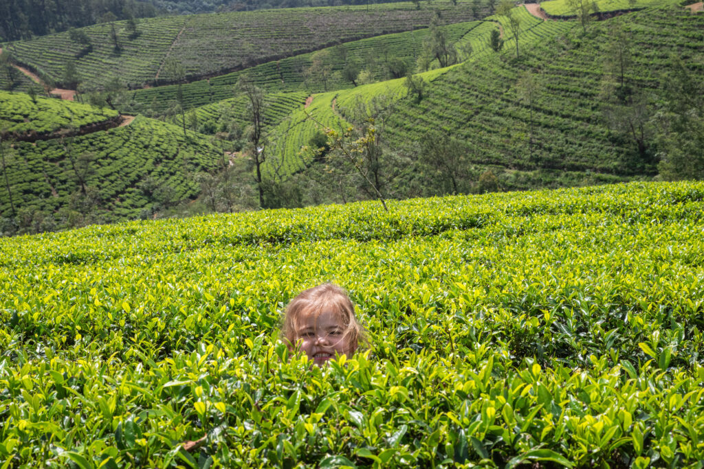 20251113_SriLanka7457