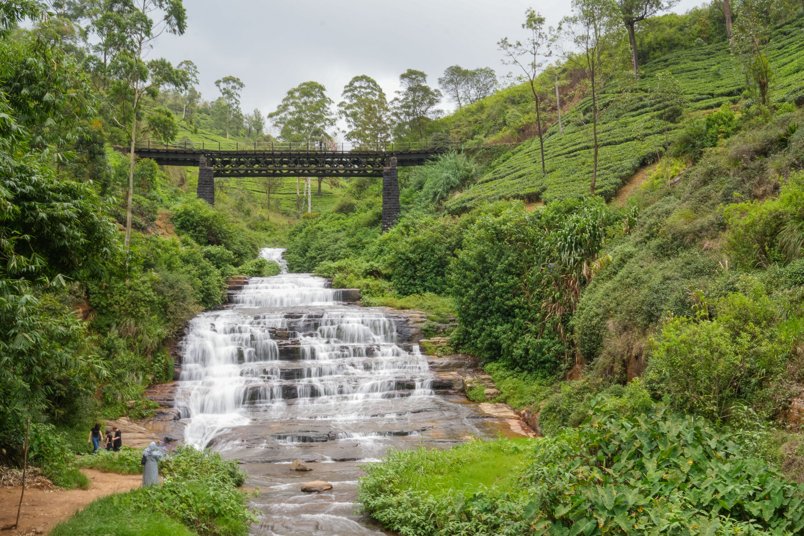 20251114_SriLanka07617