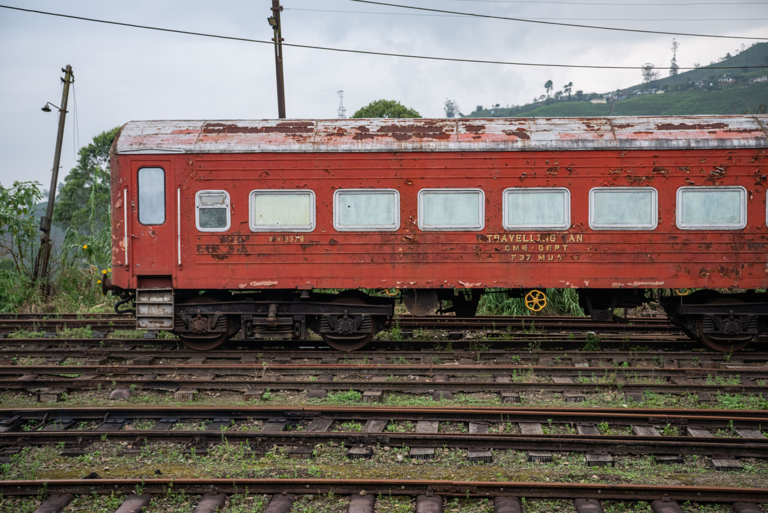 20251114_SriLanka7530