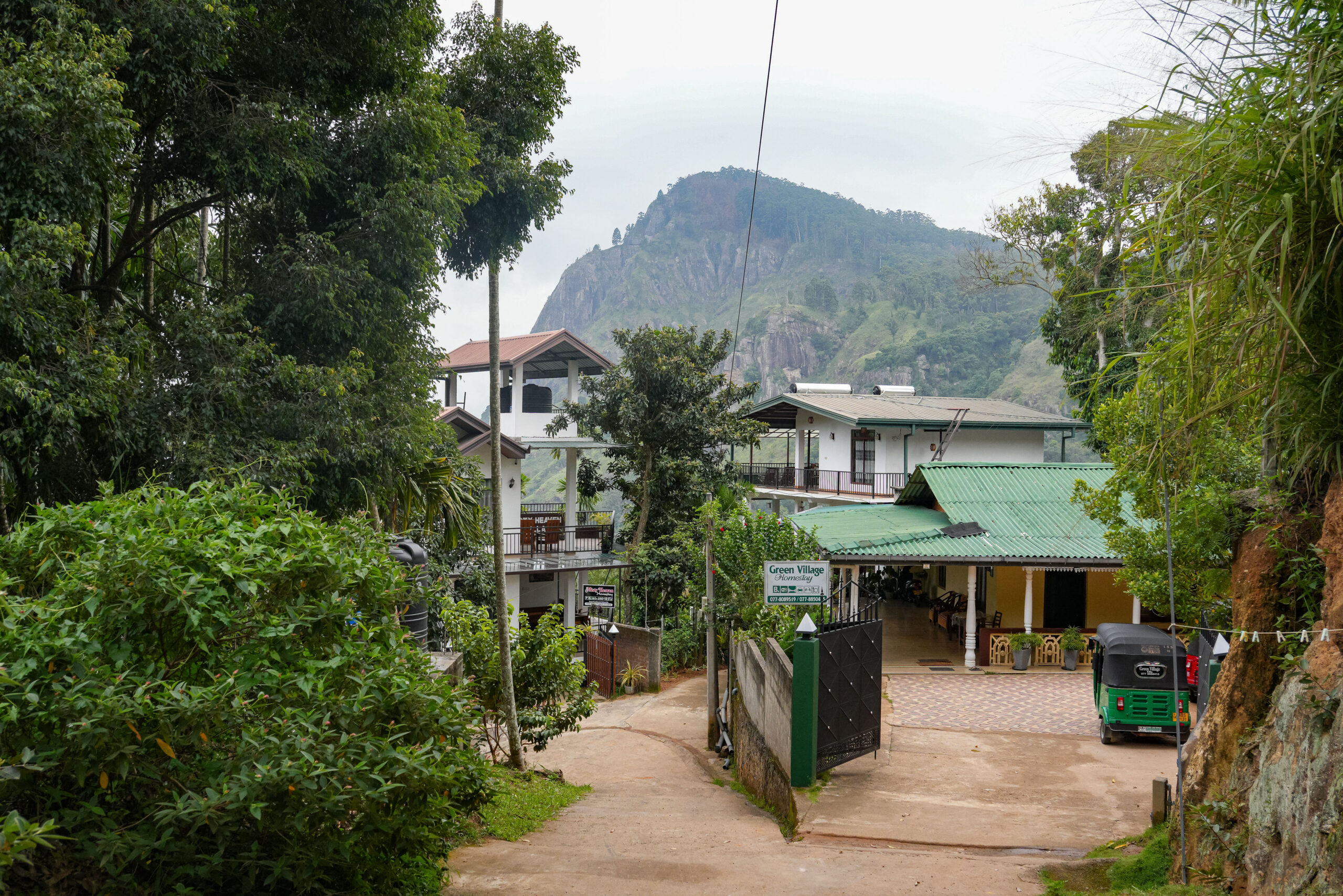 20251115_SriLanka07745