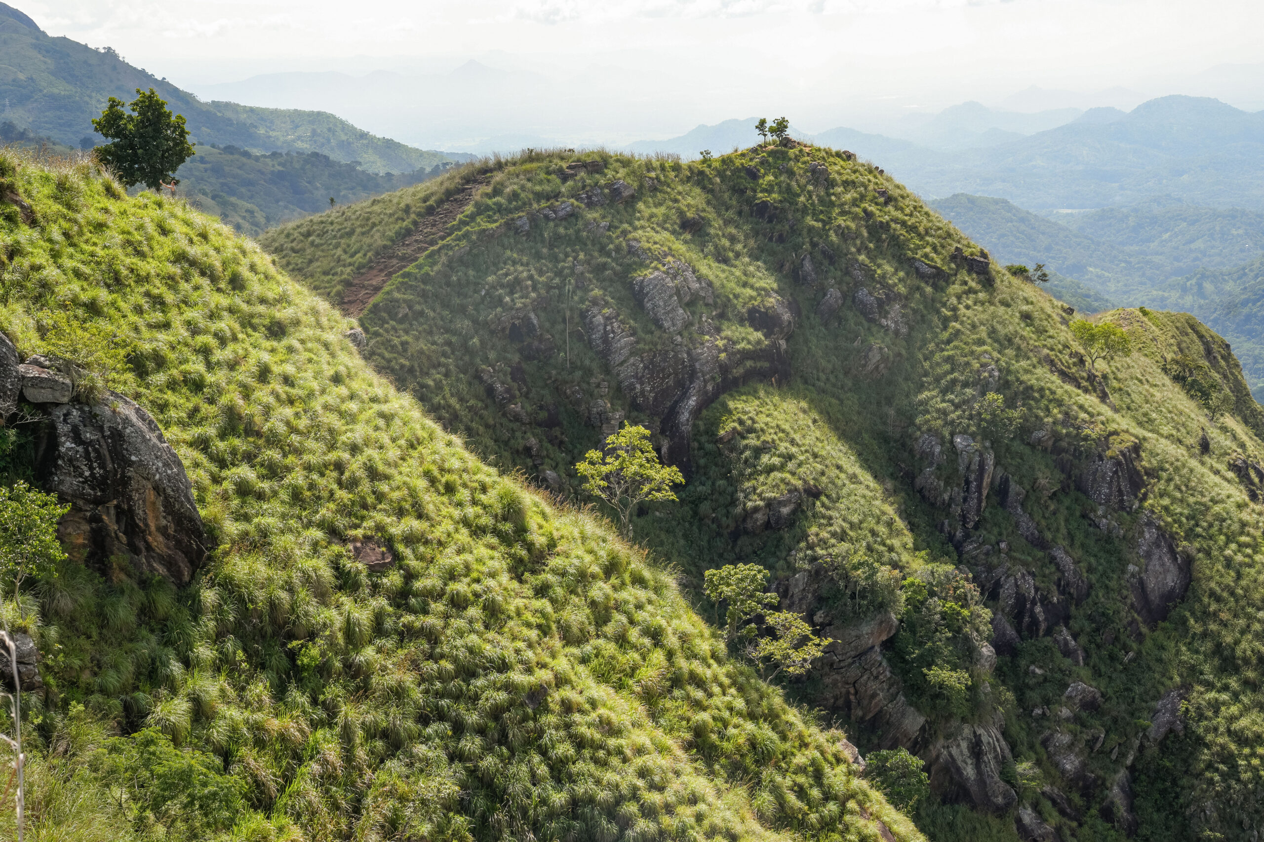 20251116_SriLanka07811