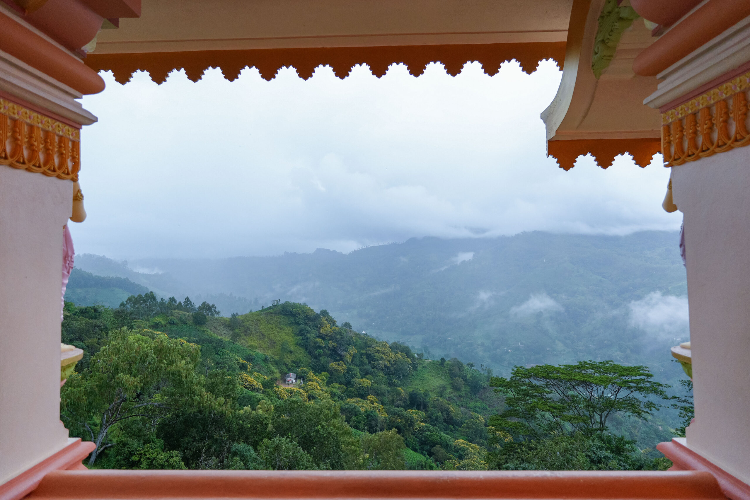 20251117_SriLanka07832