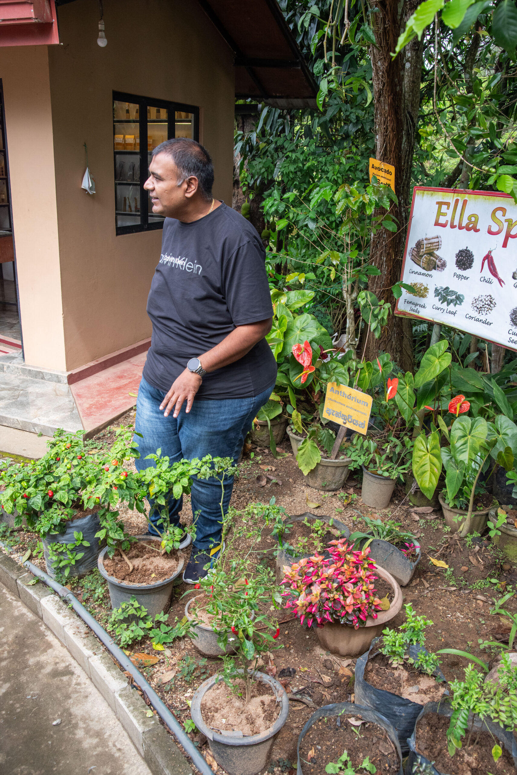 20251117_SriLanka7531