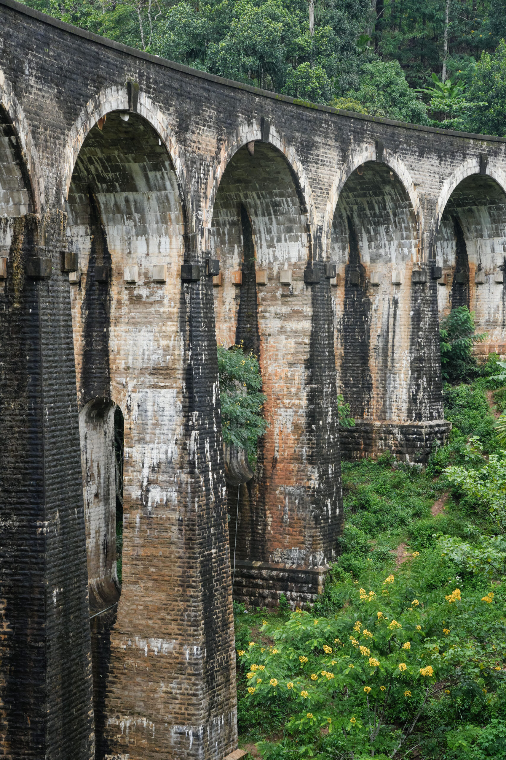 20251118_SriLanka07847