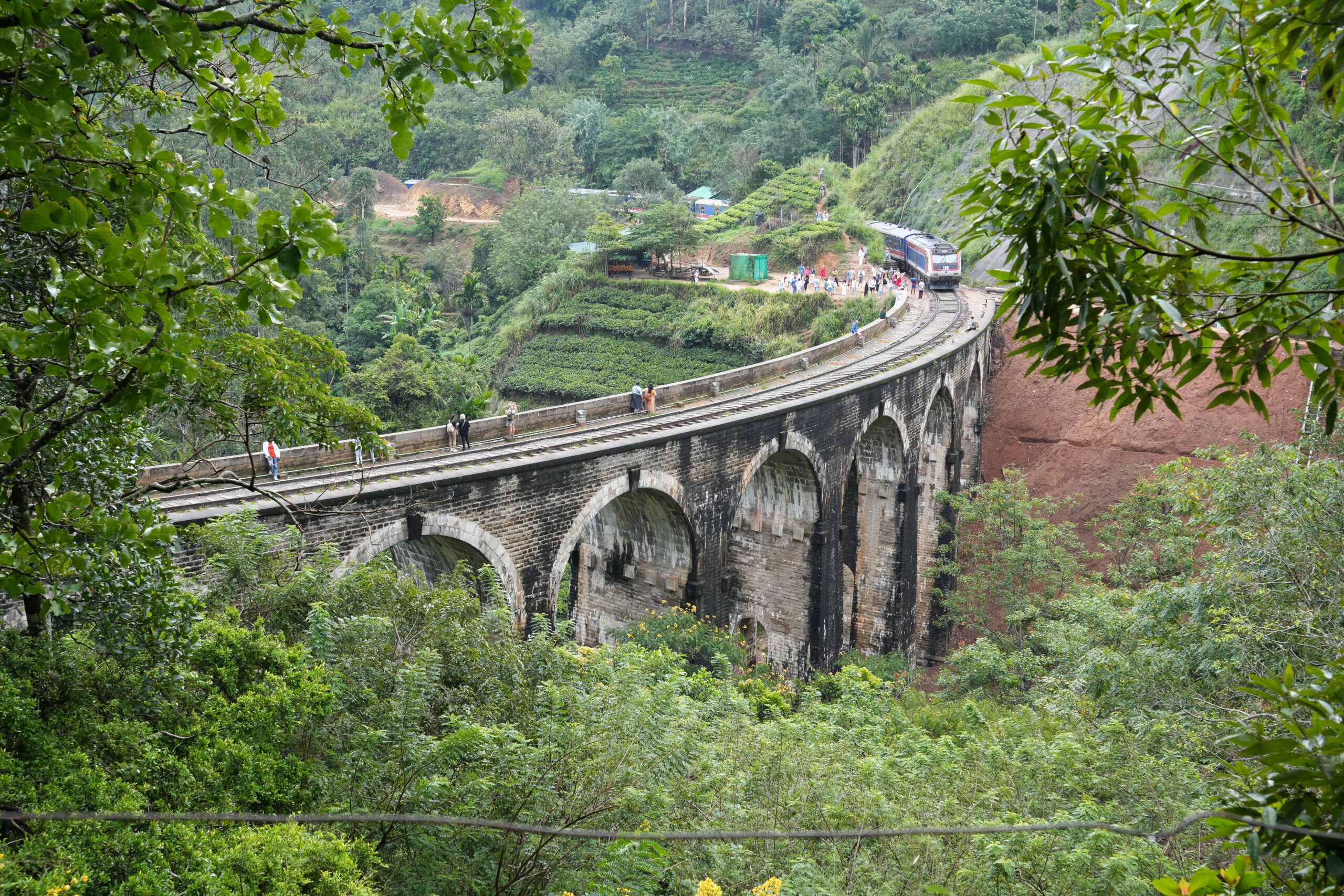 20251118_SriLanka07871