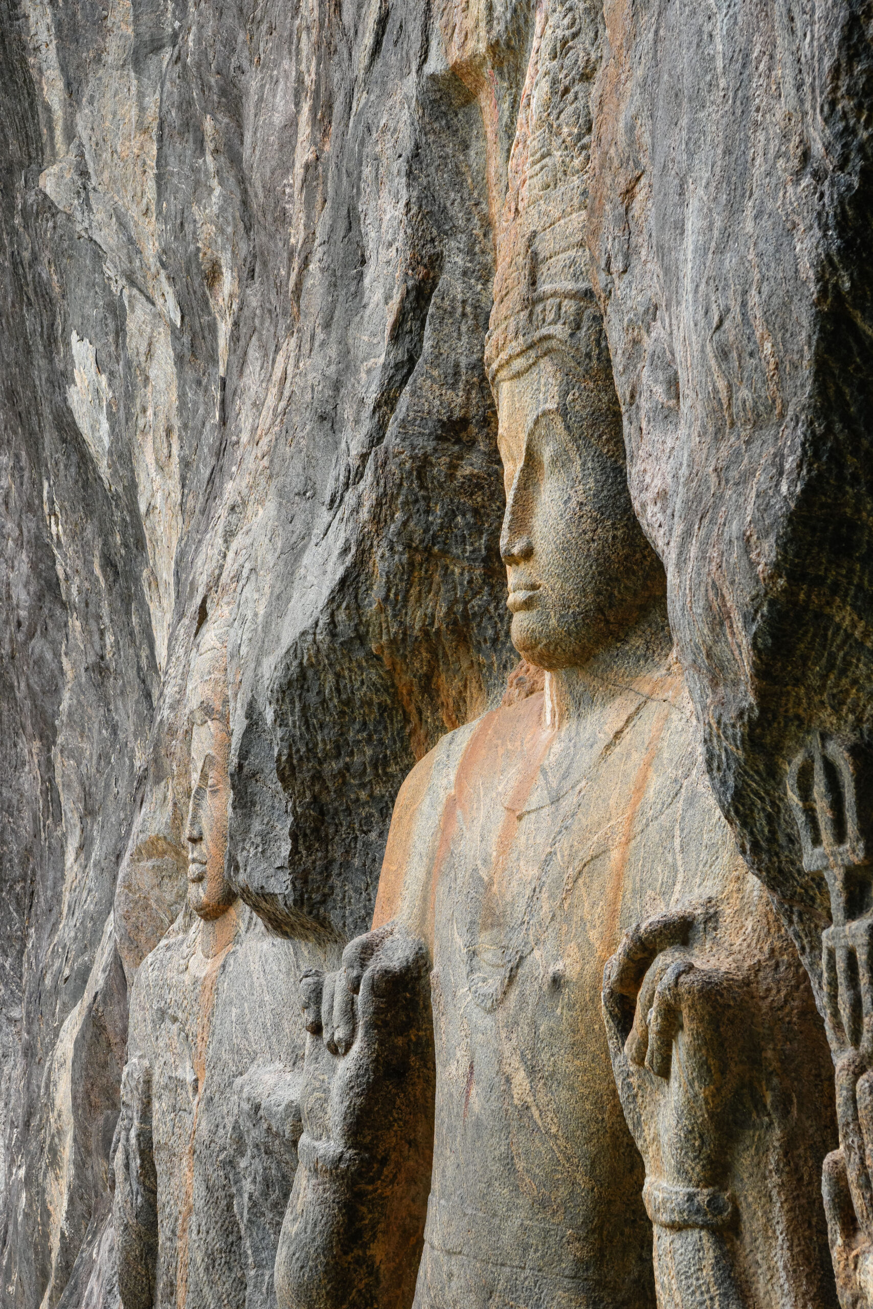 20251118_SriLanka07907