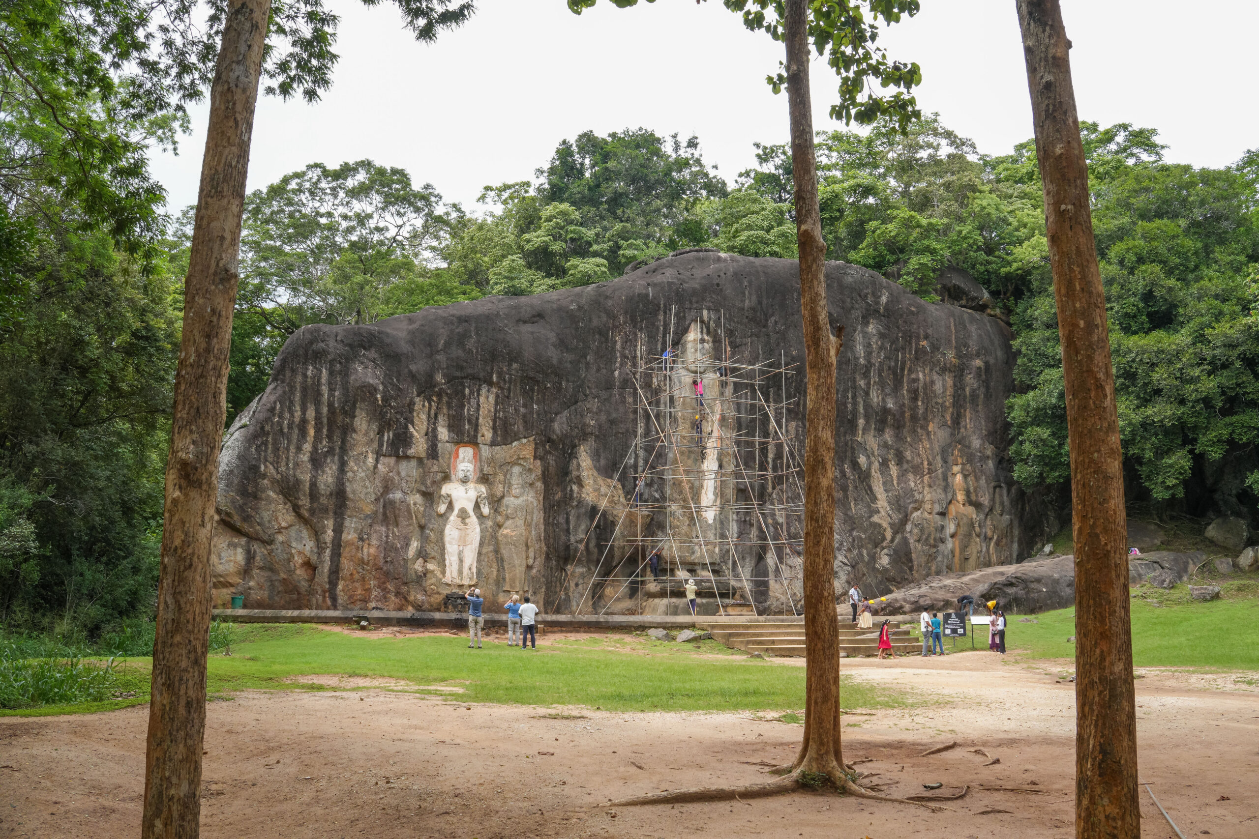 20251118_SriLanka07922