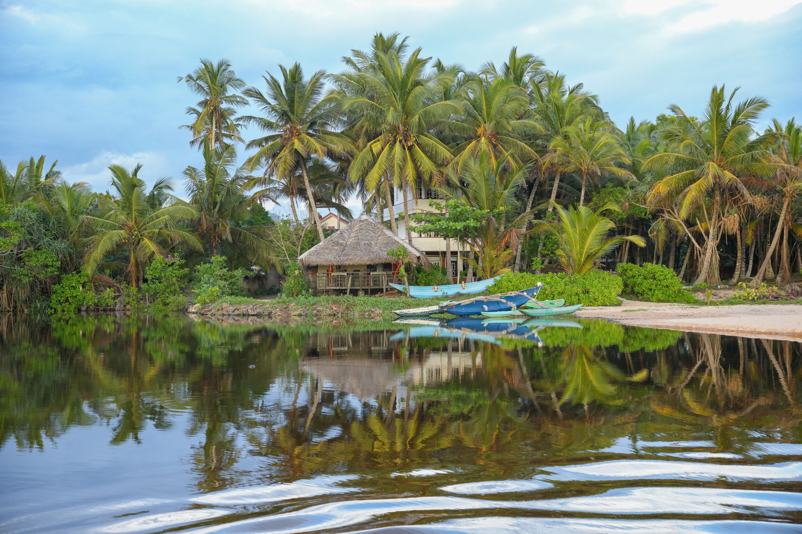 20251119_SriLanka07948