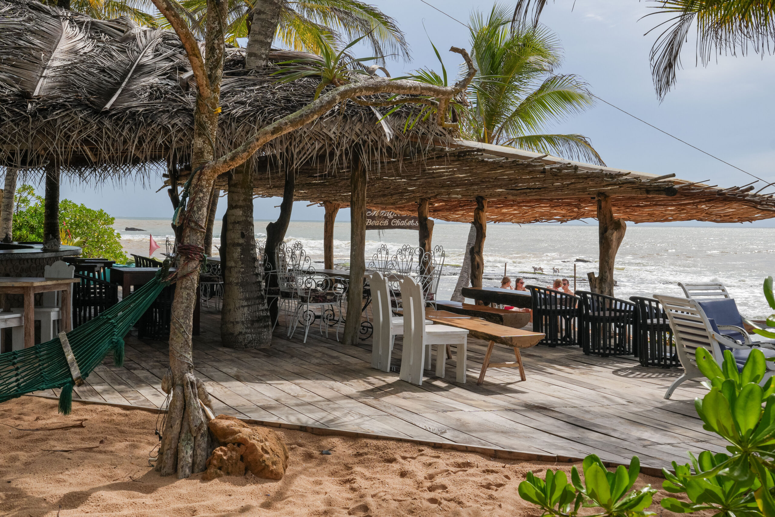 20251125_SriLanka08005