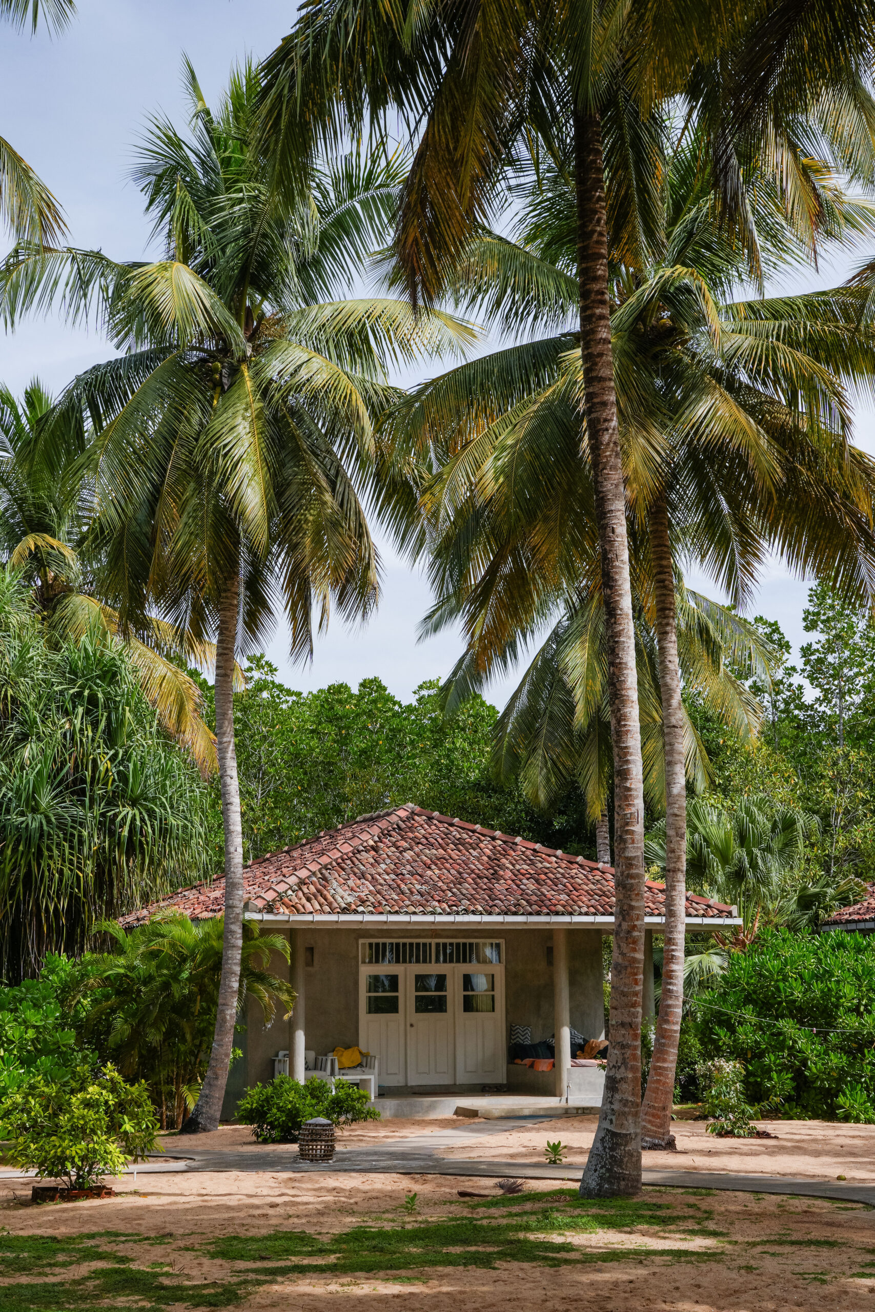 20251125_SriLanka08007