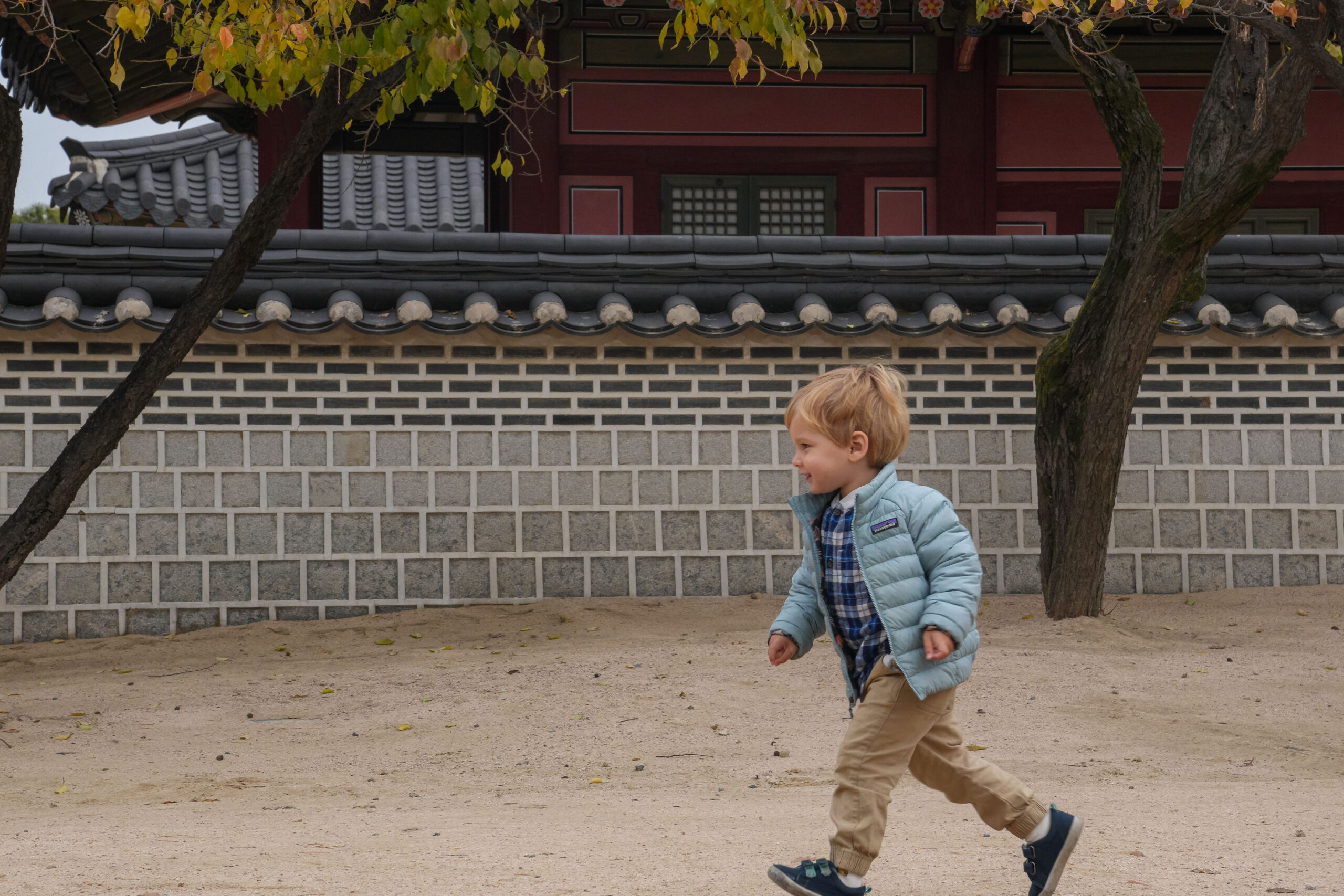 20251130_SouthKorea08115