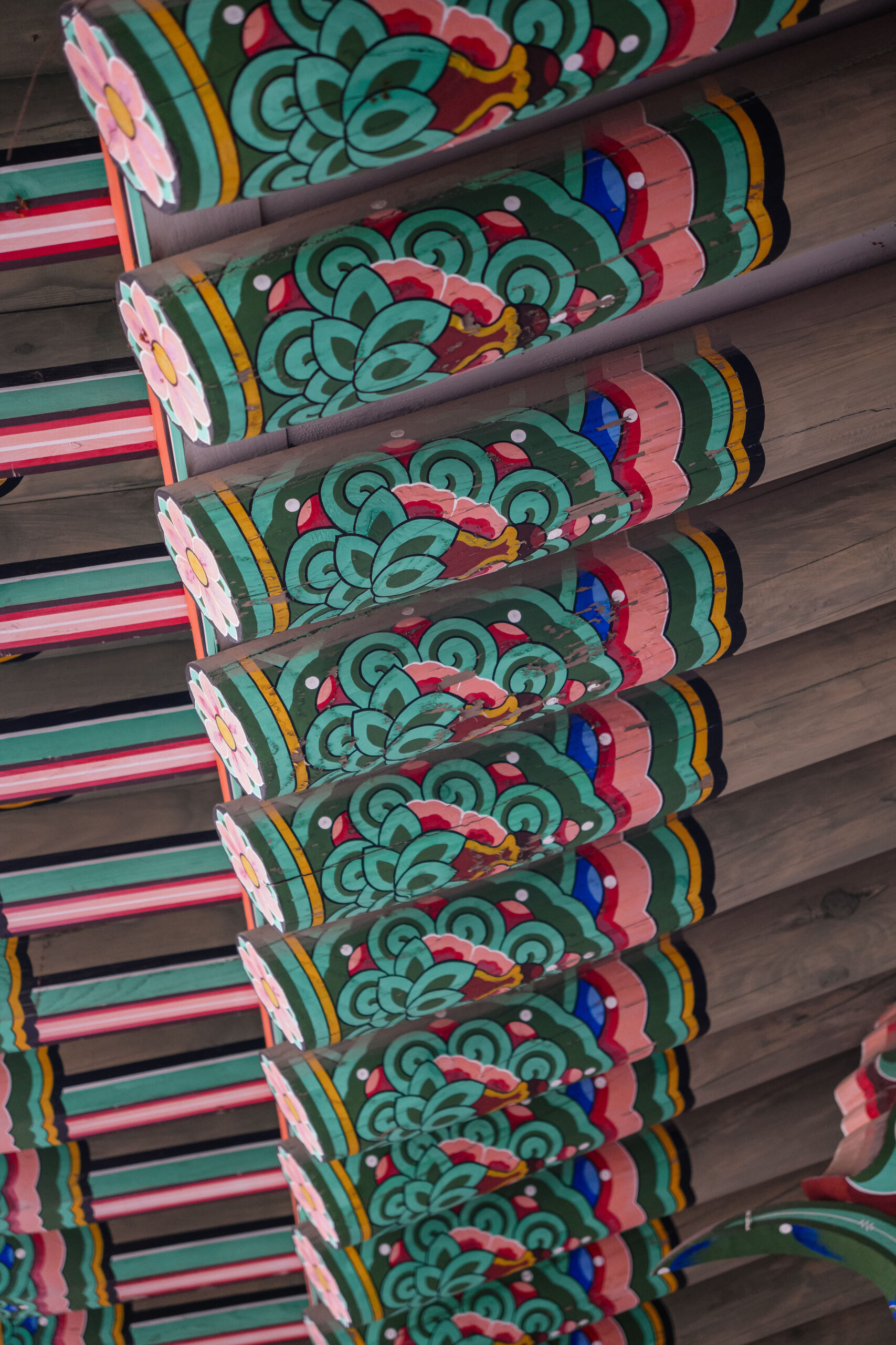 20251130_SouthKorea08126