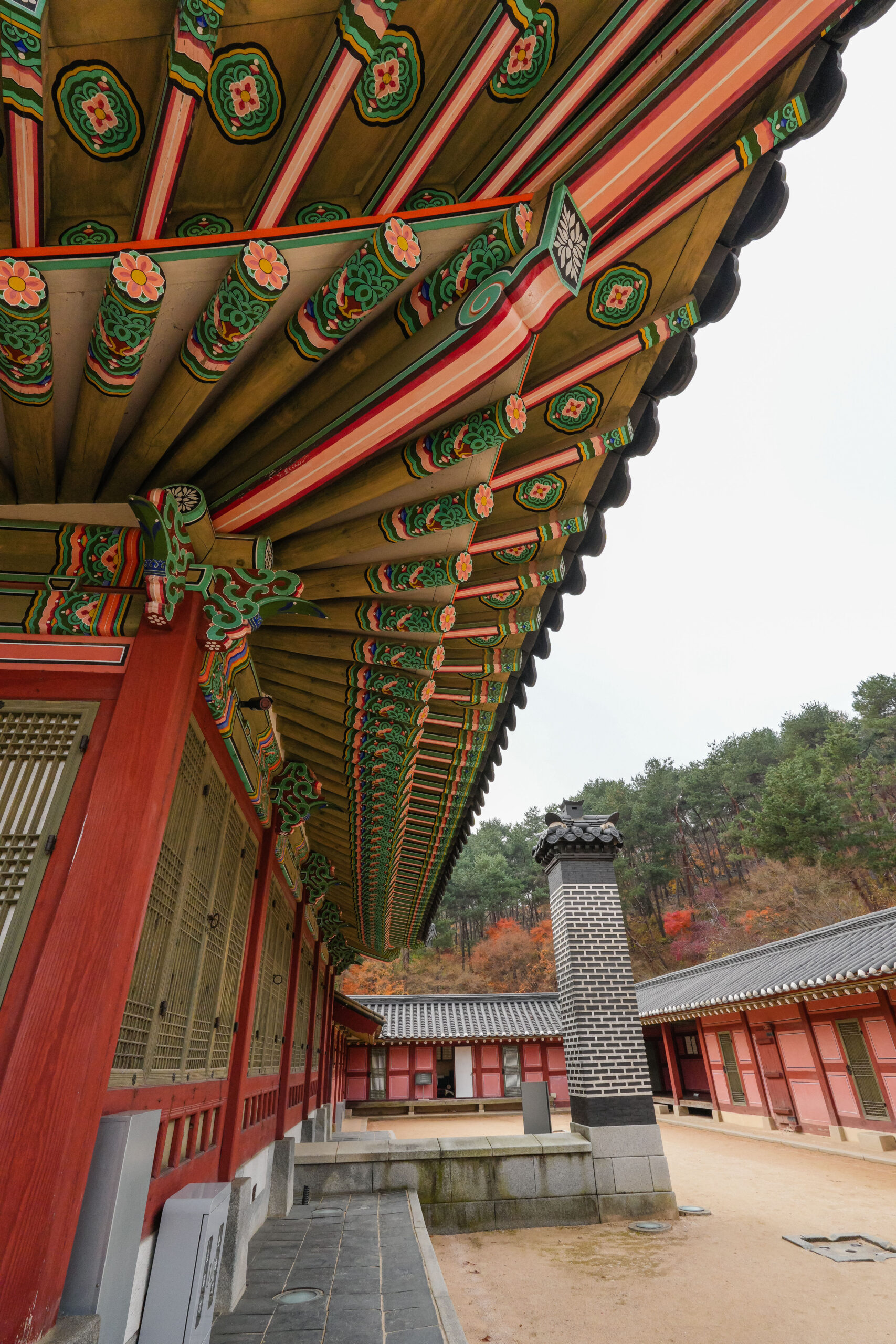 20251130_SouthKorea08158