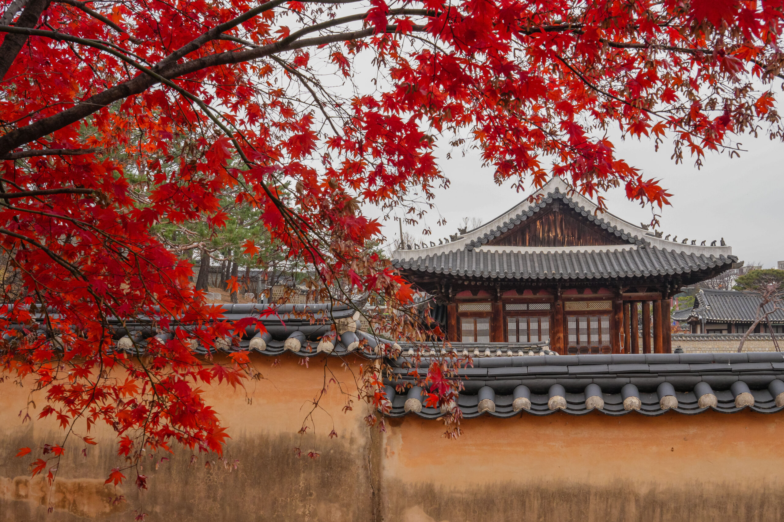 20251130_SouthKorea08193