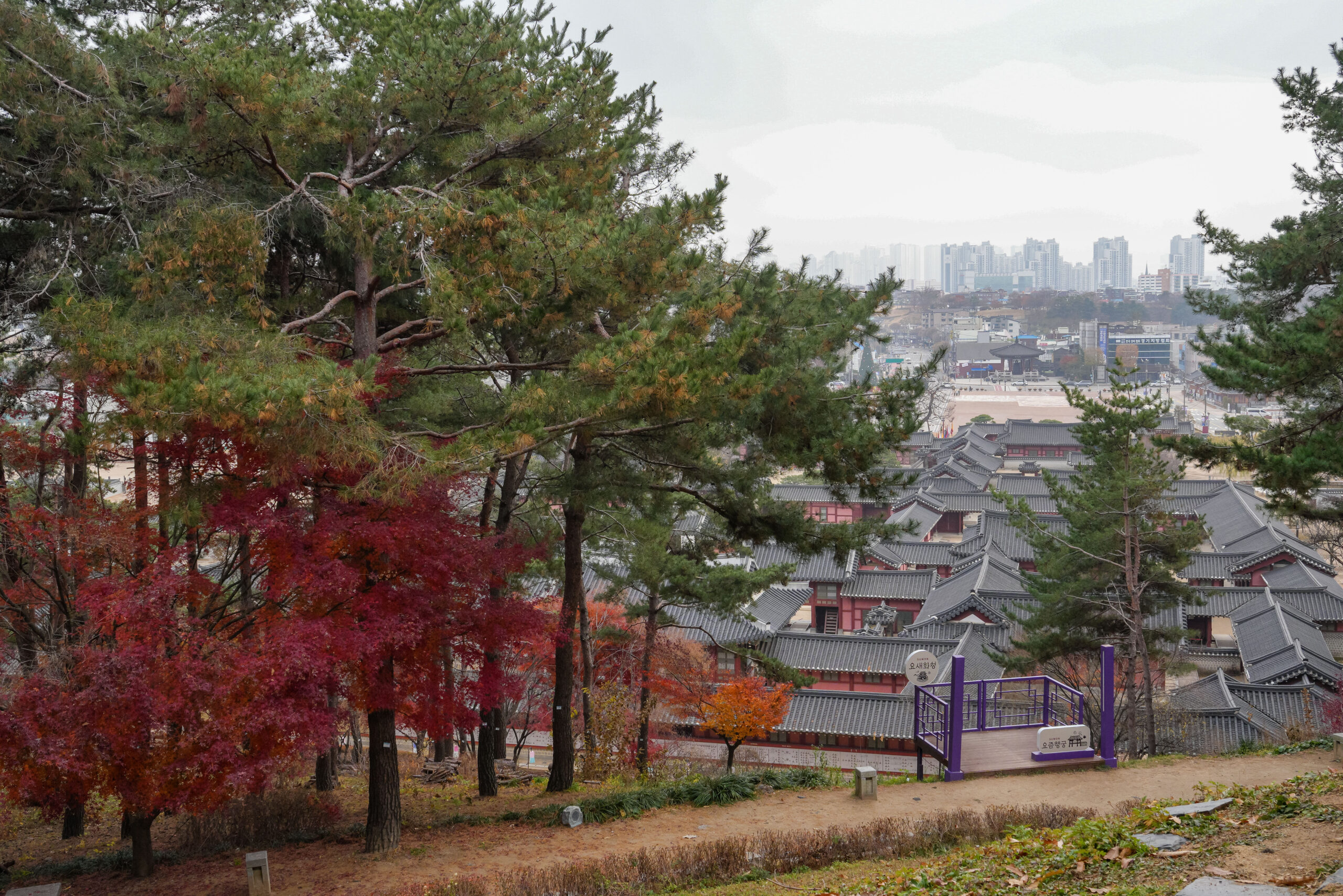 20251130_SouthKorea08201