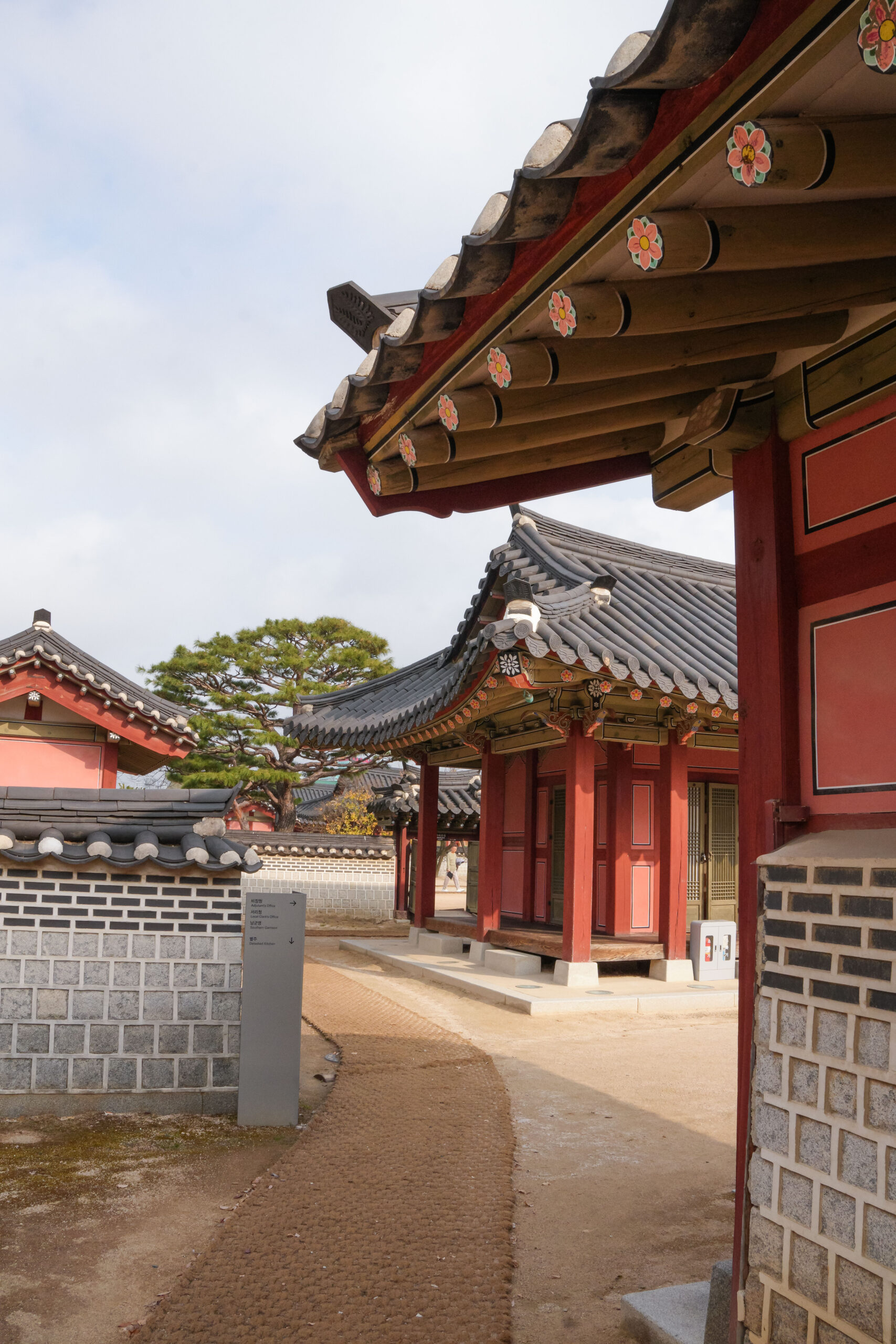 20251130_SouthKorea08227