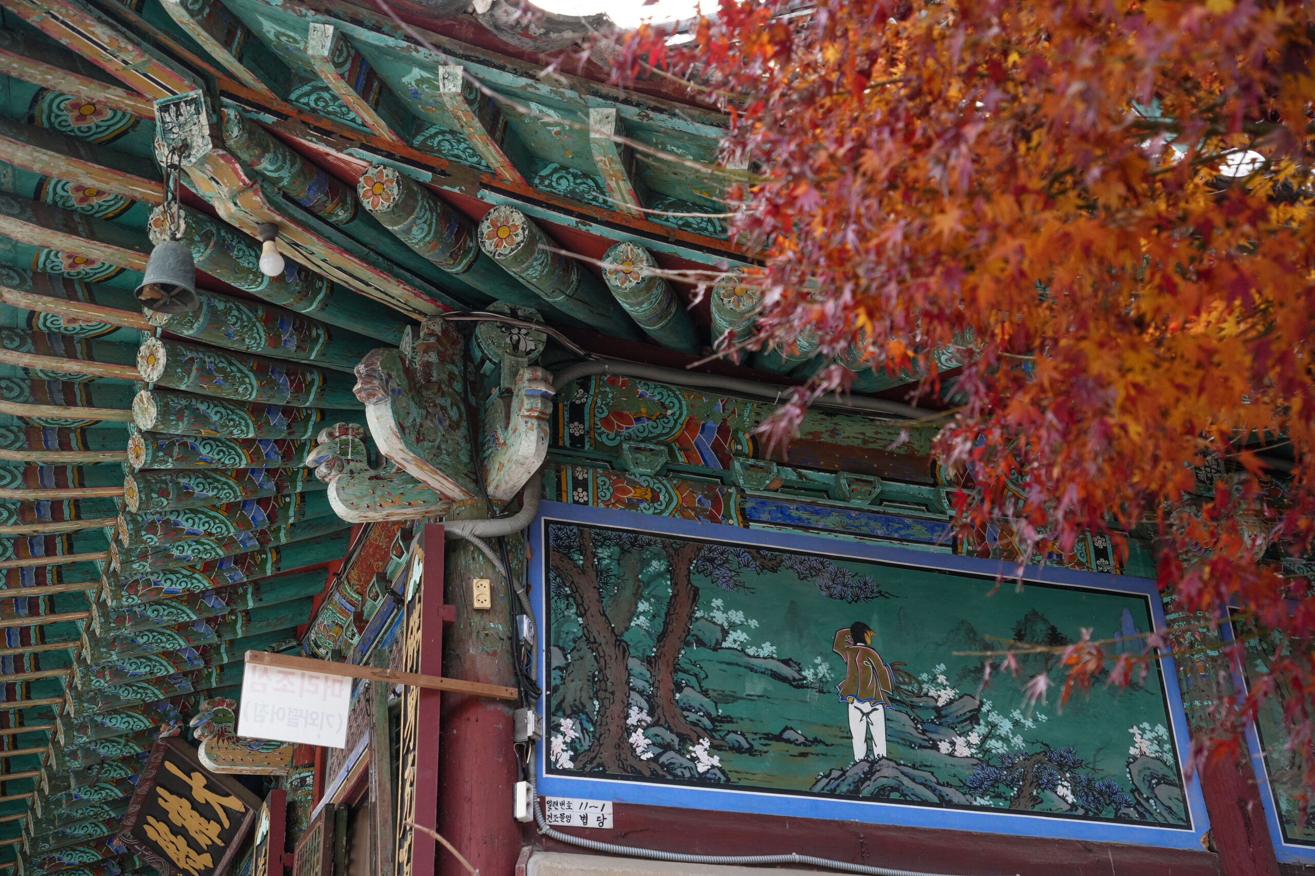 20251130_SouthKorea08254