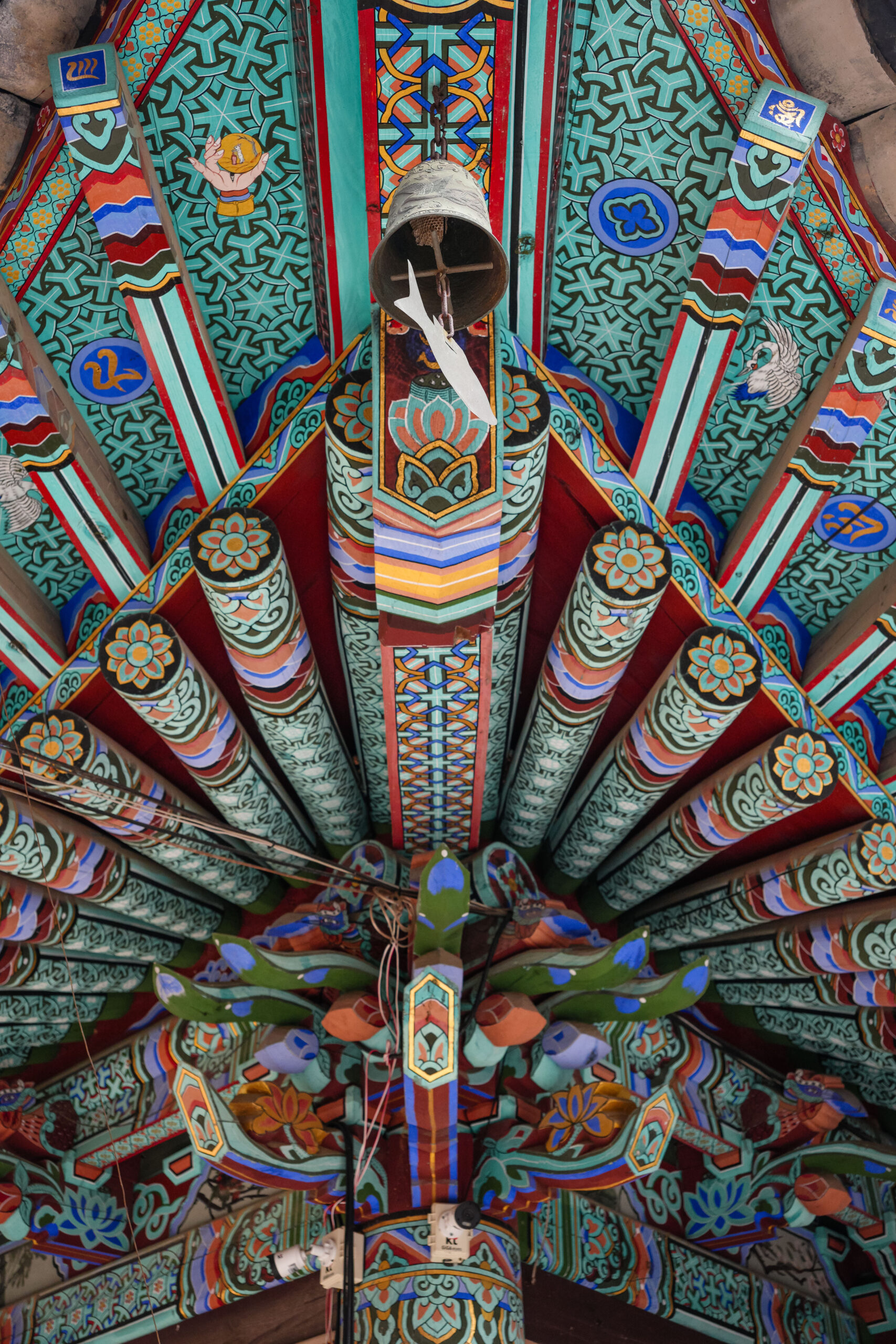 20251130_SouthKorea08256