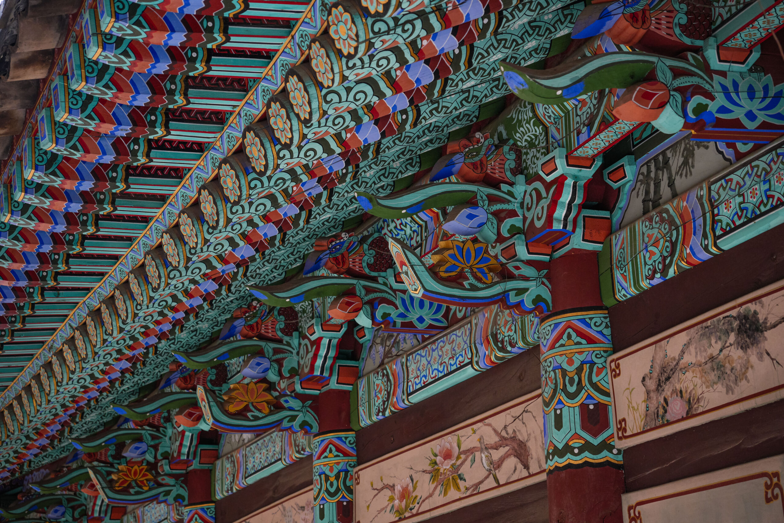 20251130_SouthKorea08257