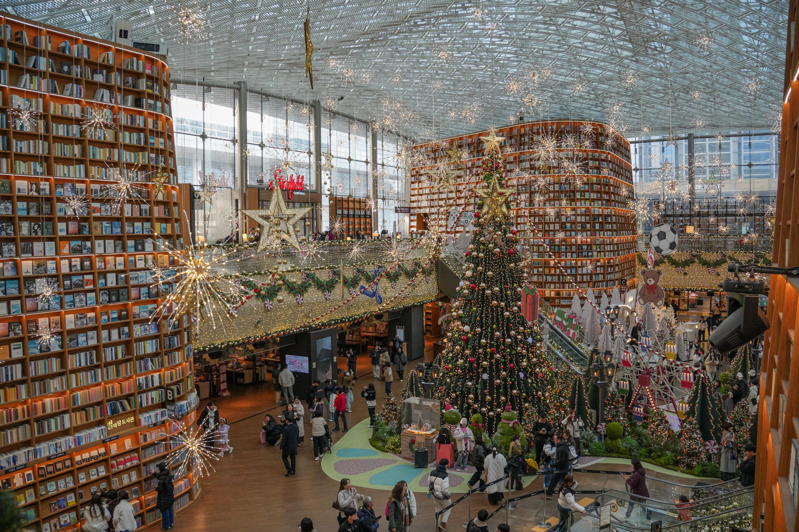 20251202_SouthKorea08261