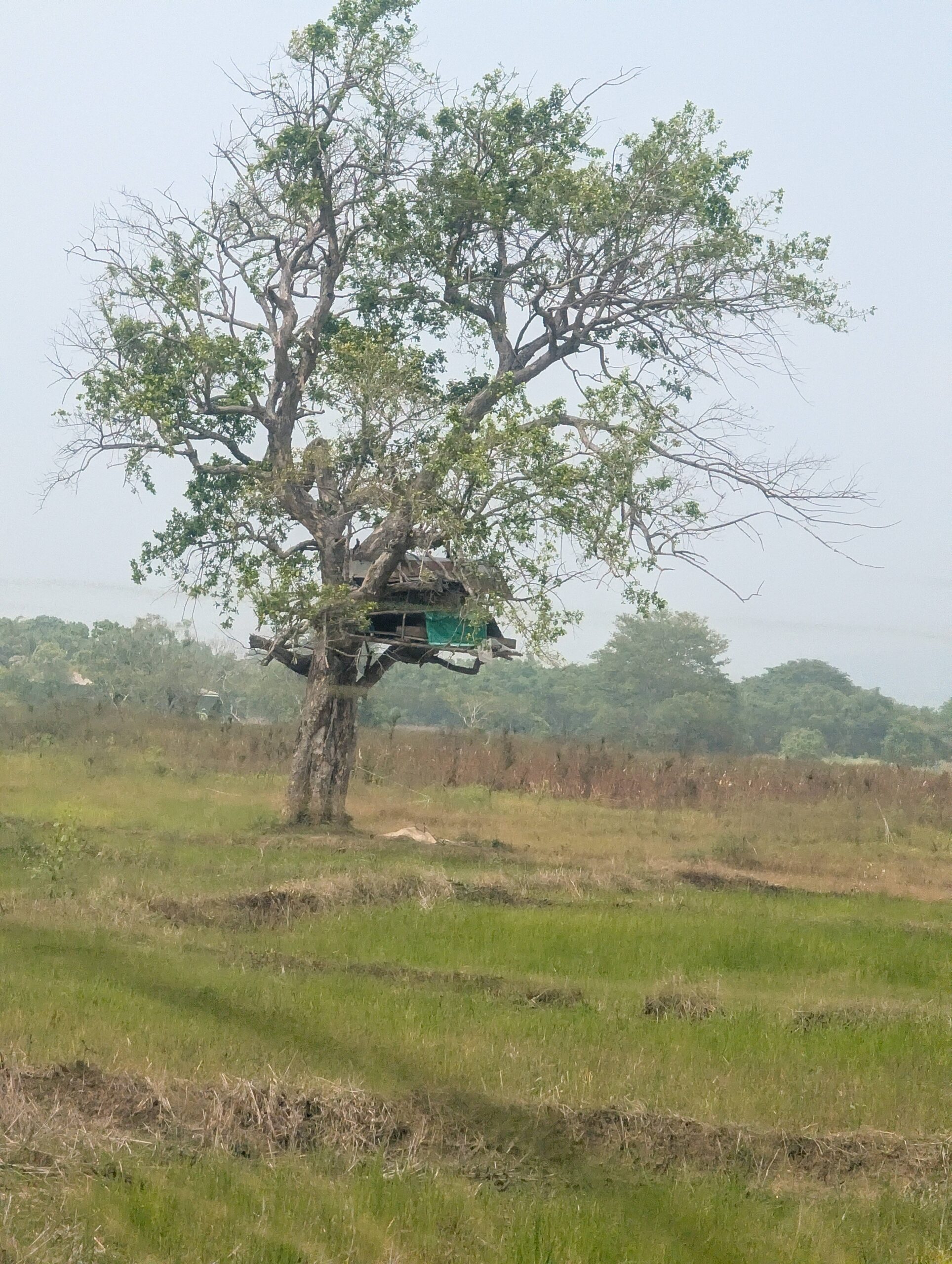 PXL_20251110_051034942