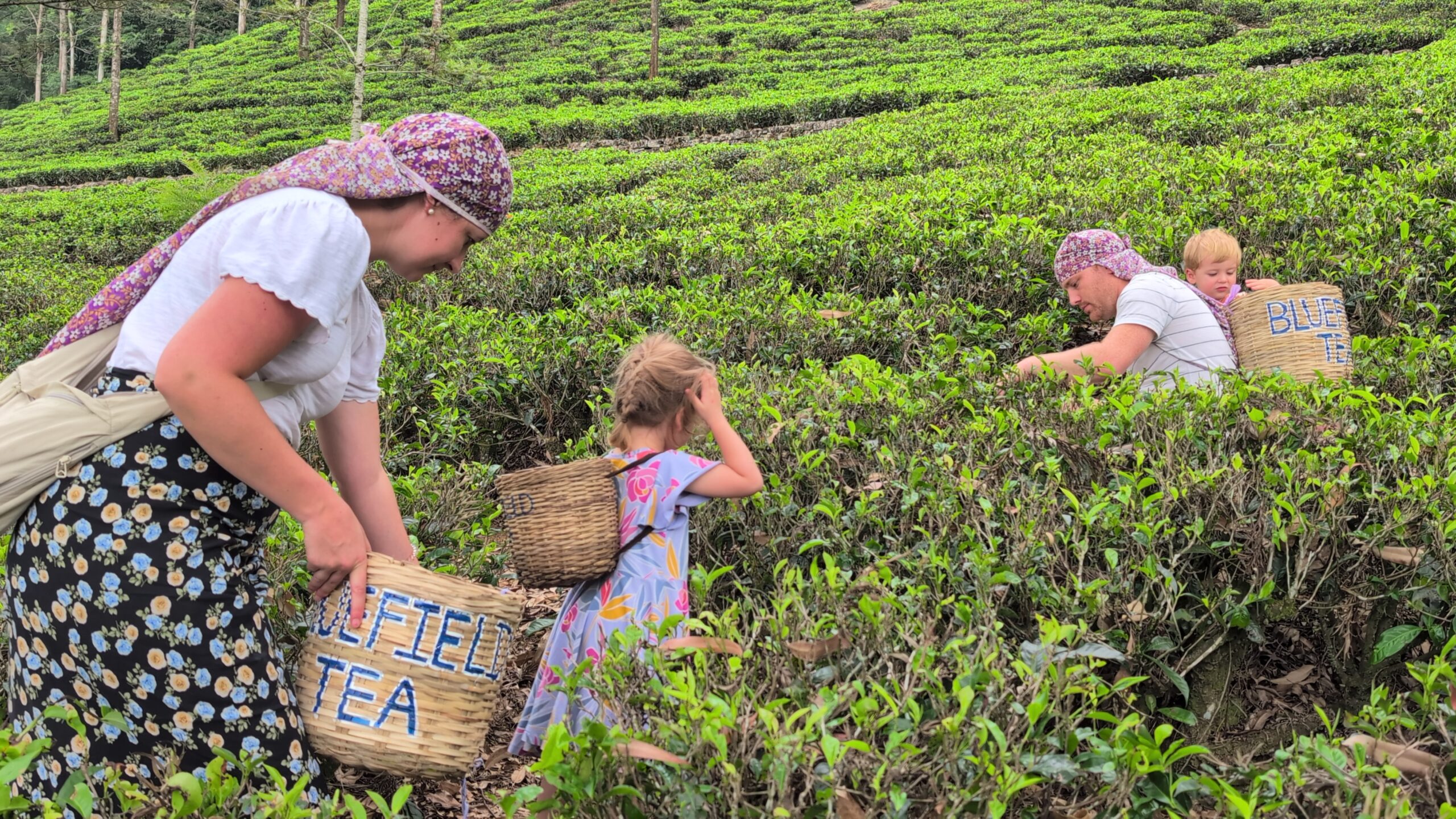 PXL_20251112_091414832