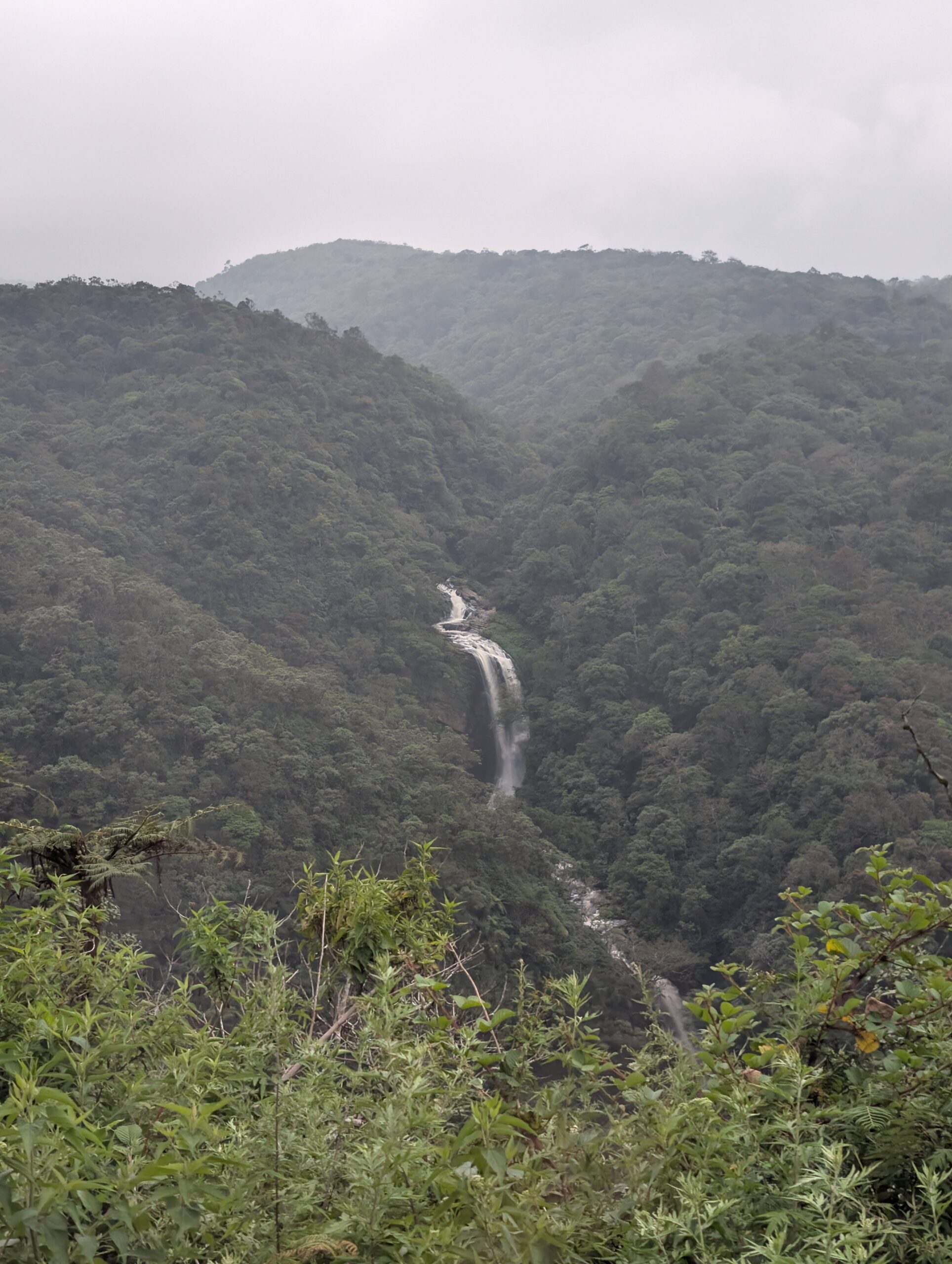 PXL_20251114_093258586.RAW-01.COVER