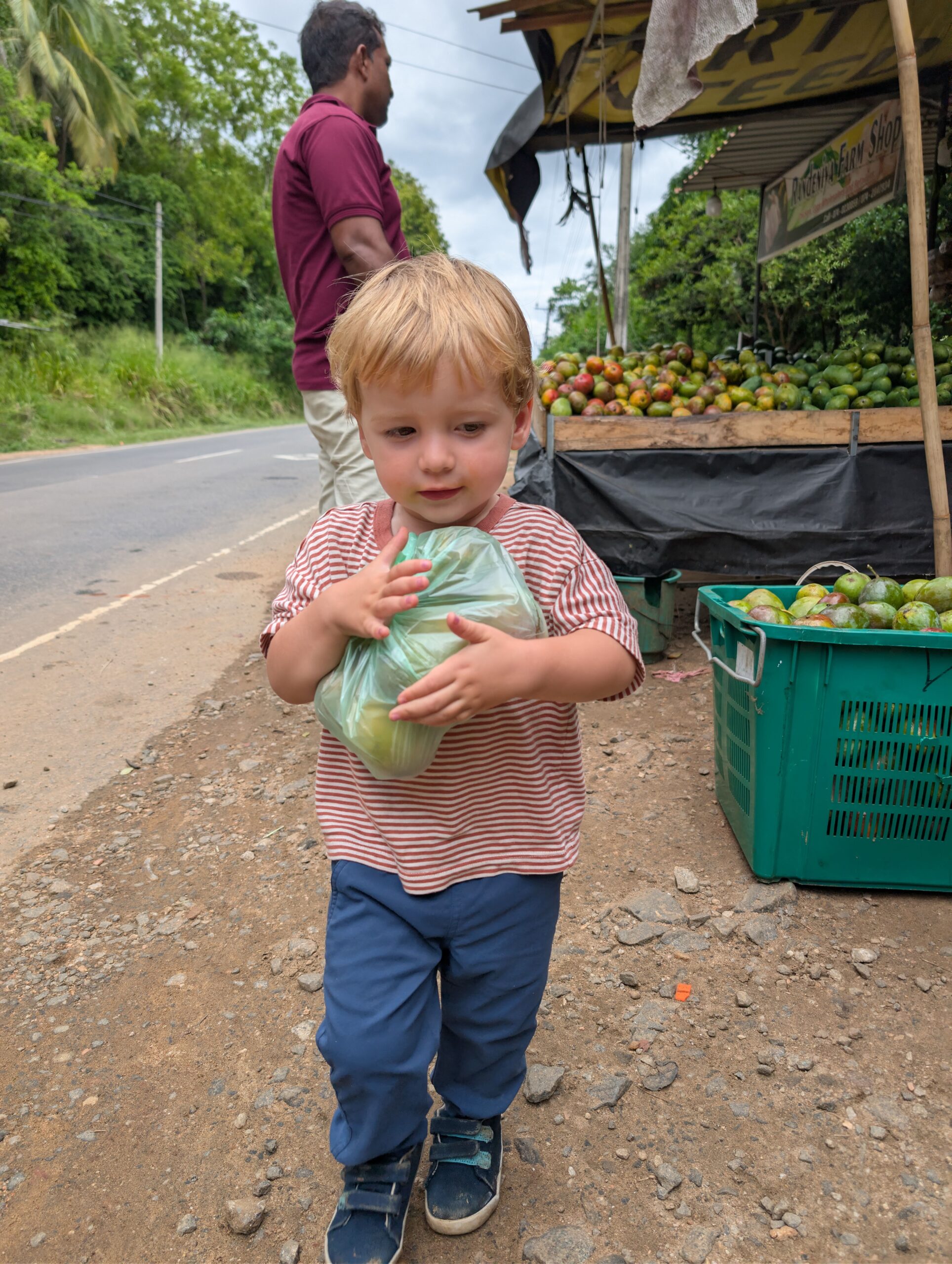 PXL_20251118_071935565.RAW-01.COVER