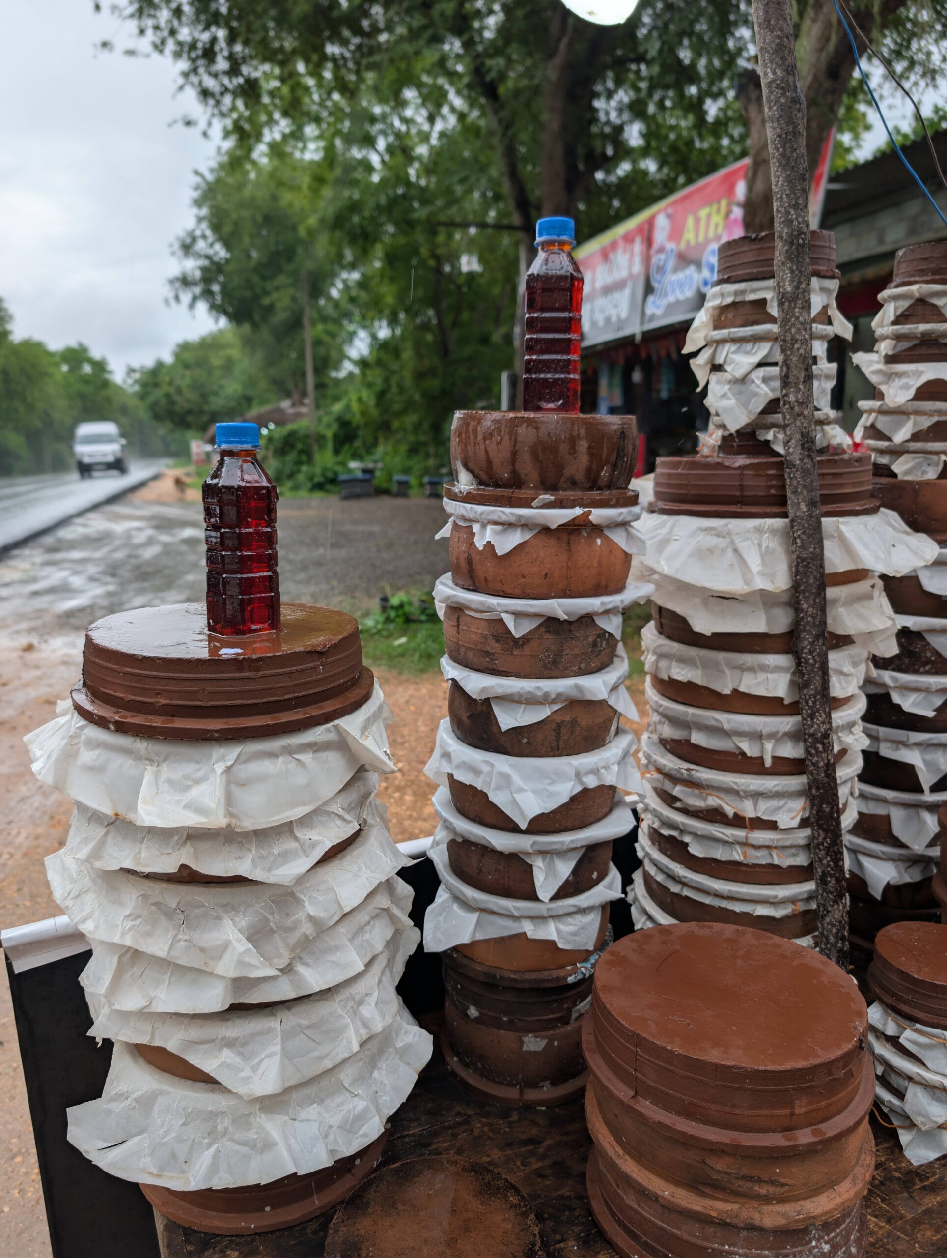 PXL_20251118_080604965.RAW-01.COVER