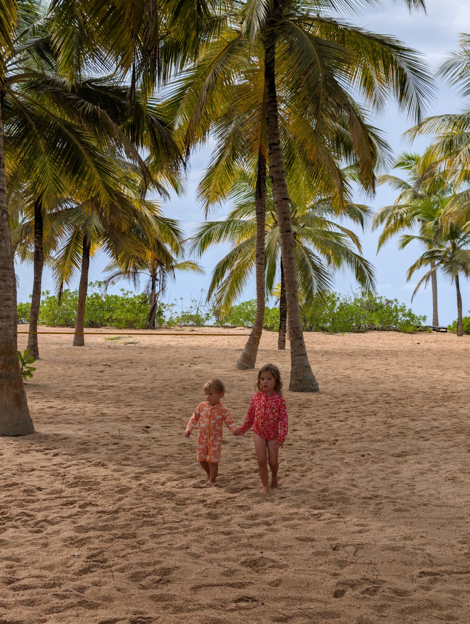 PXL_20251124_030825392.RAW-01.COVER