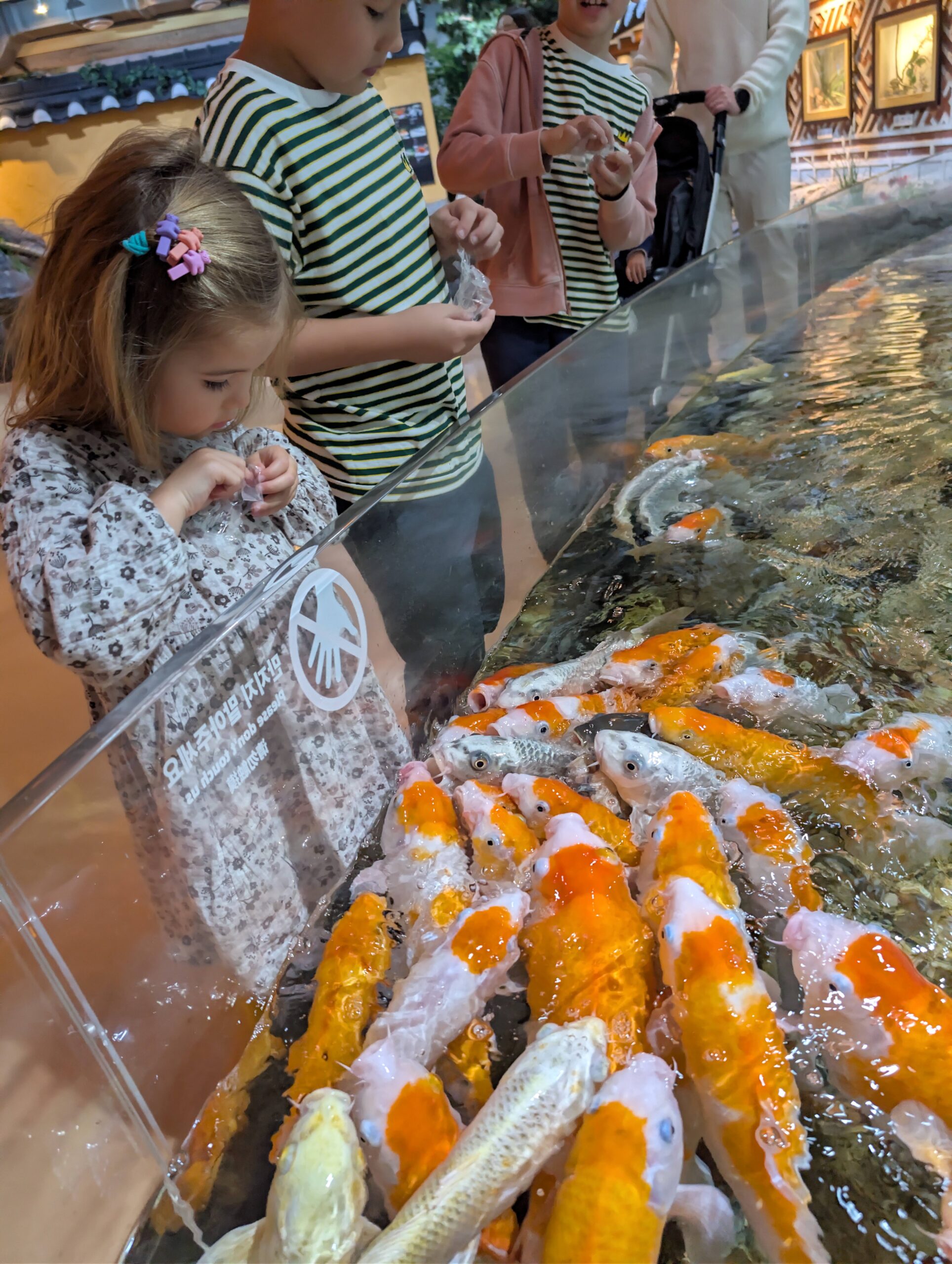 PXL_20251202_044344778.RAW-01.COVER