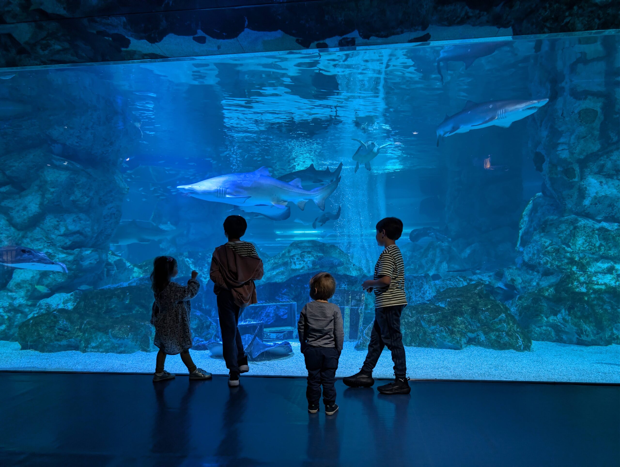 PXL_20251202_051426623.RAW-01.COVER