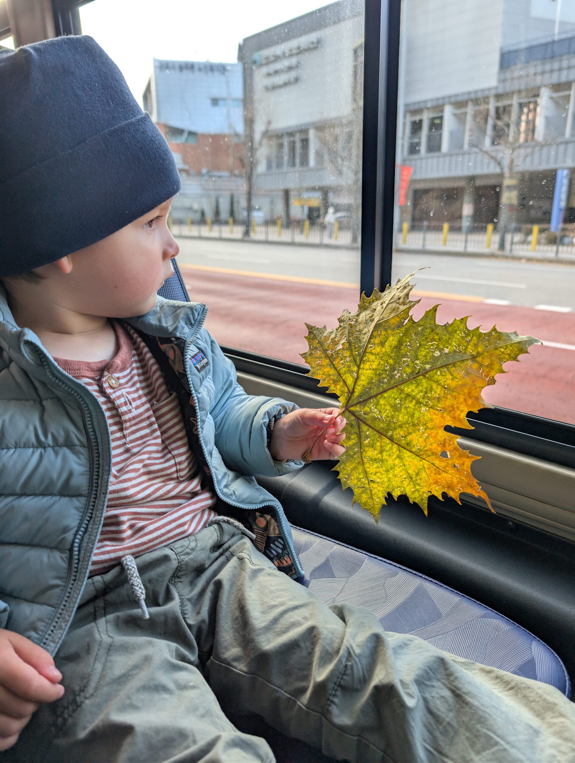 PXL_20251203_053101850.RAW-01.COVER