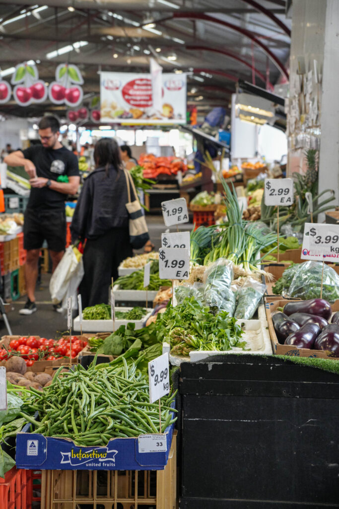 20260108_Australia09289